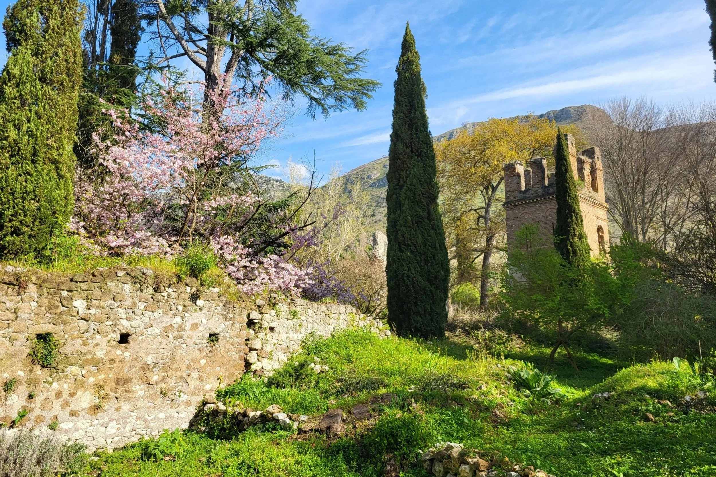 Romantic ruins and flowers in Giardino di Ninfa near Rome