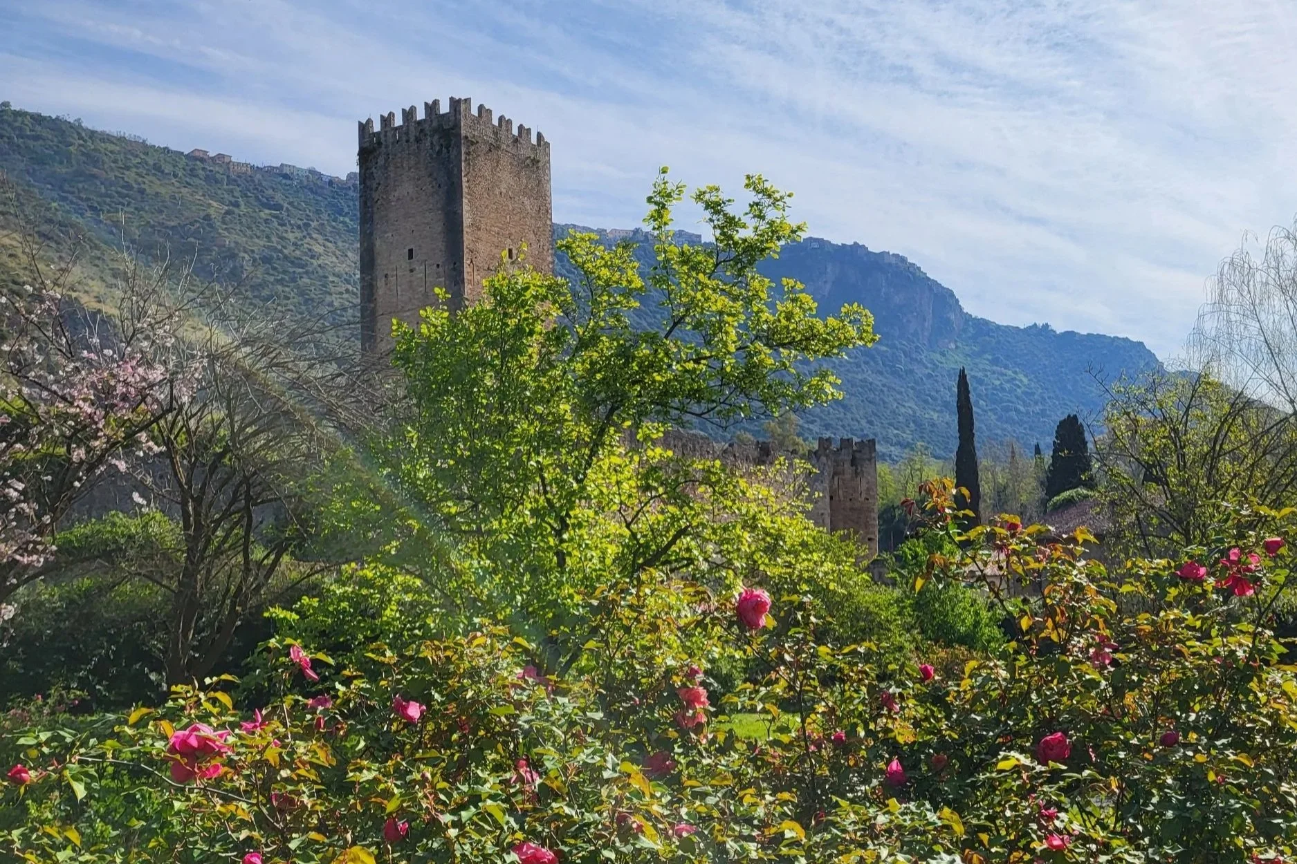 Roses in front of an ancient castle tower in Giardino di Ninfa close to Rome