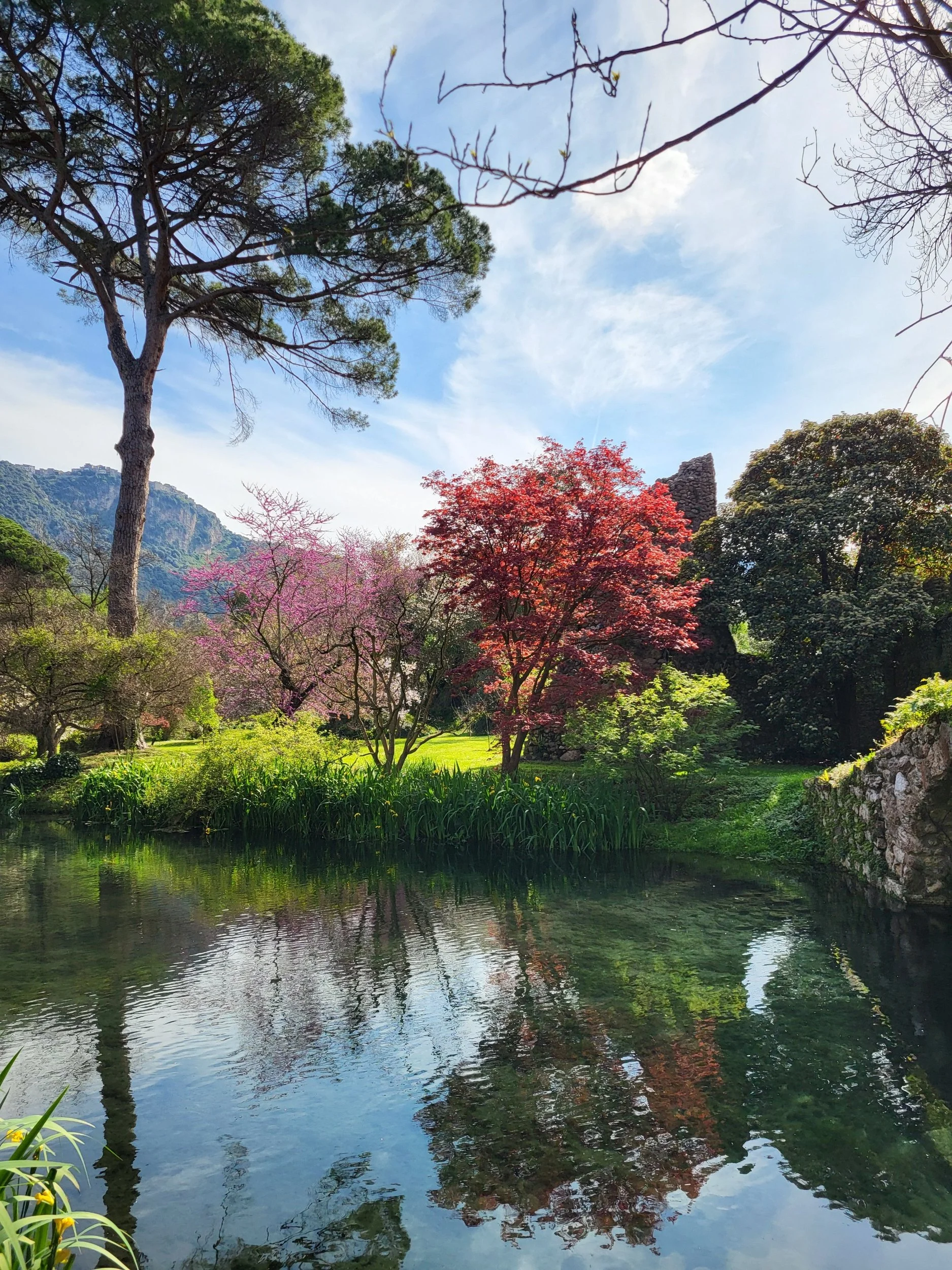 A vibrant garden with a pond reflecting colorful trees and blue sky, surrounded by lush green grass, bushes, and large trees.