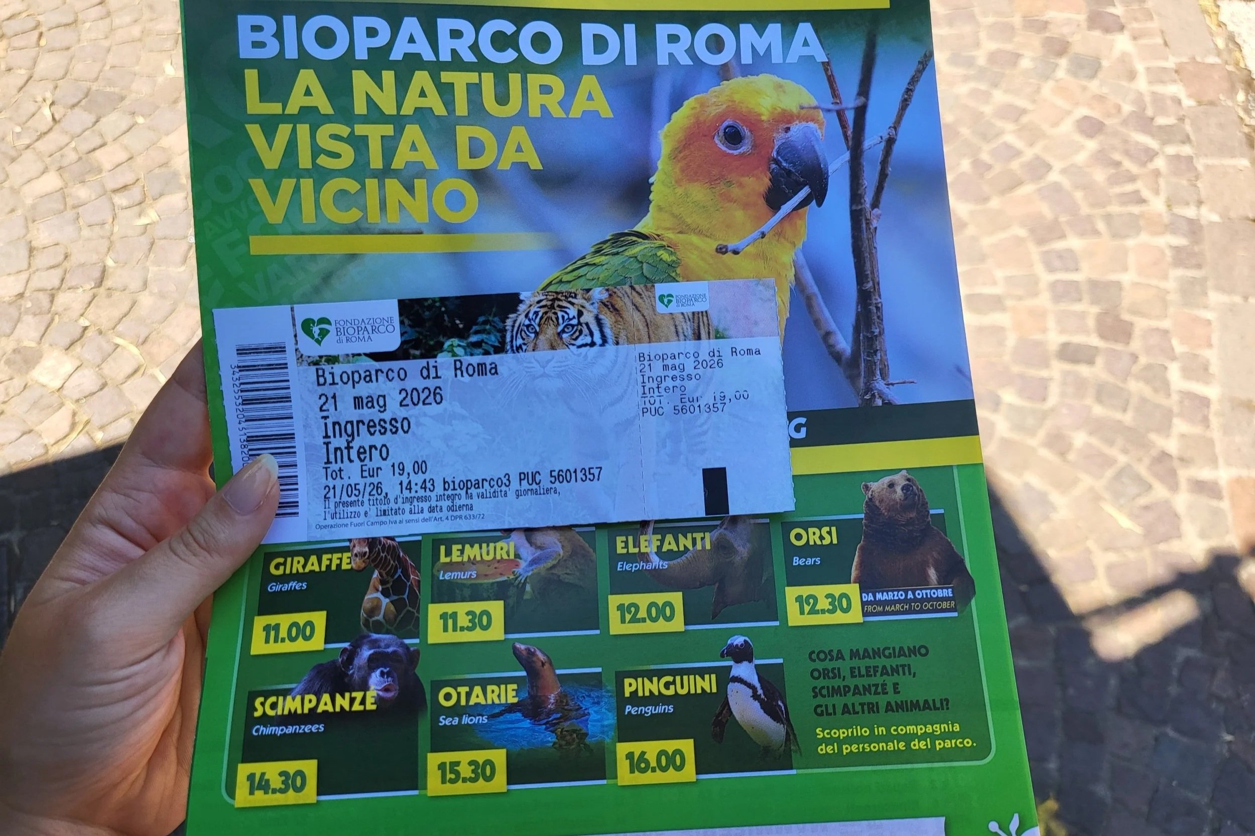 Entrance ticket and map of Bioparco di Roma on 21 of May.