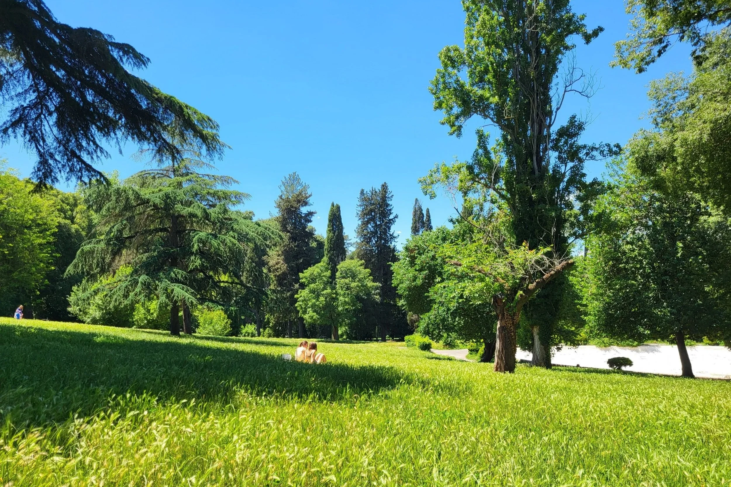 Two people having a picnic in Villa Borghese Rome