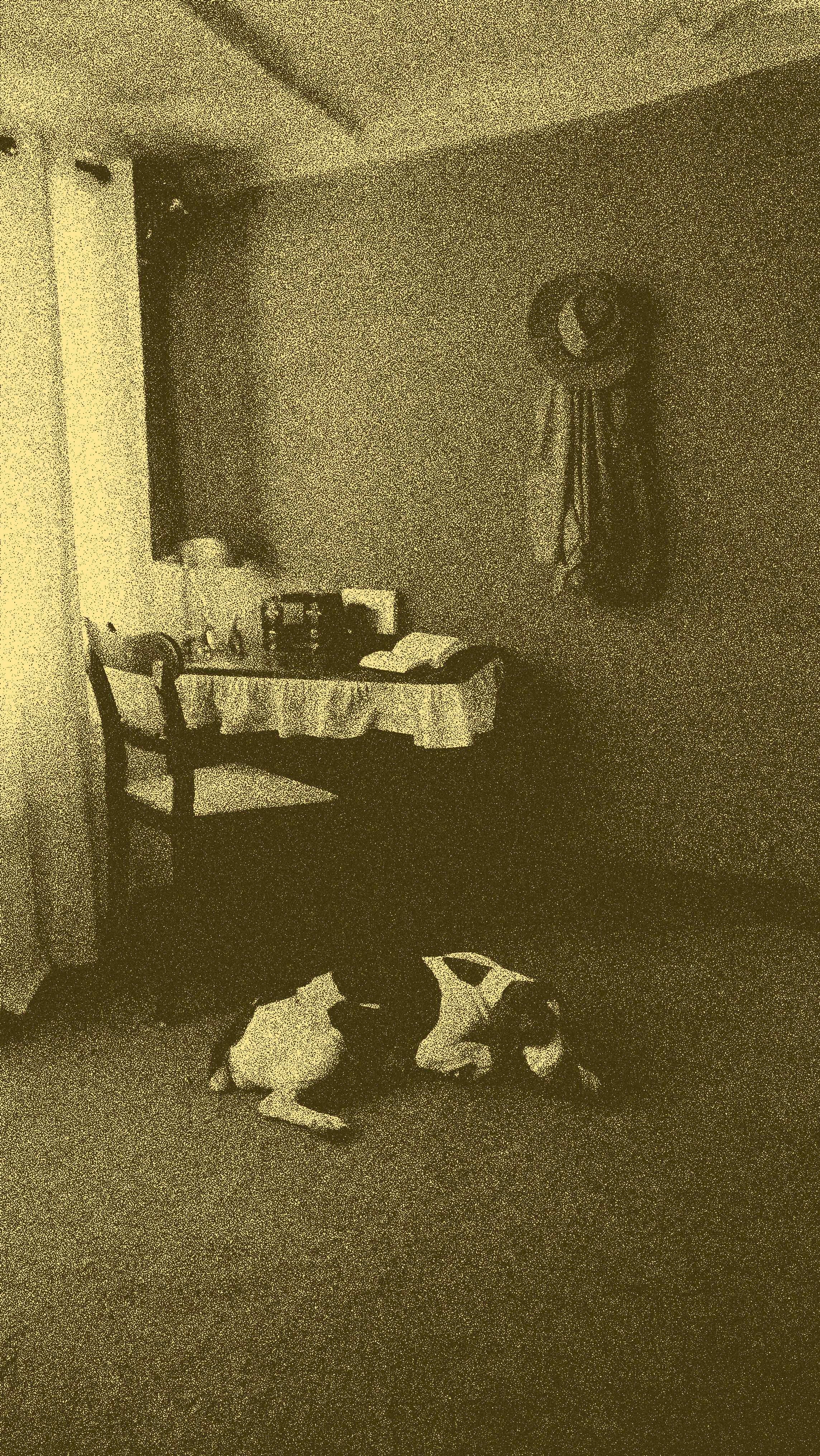 P2233595 copy.jpg