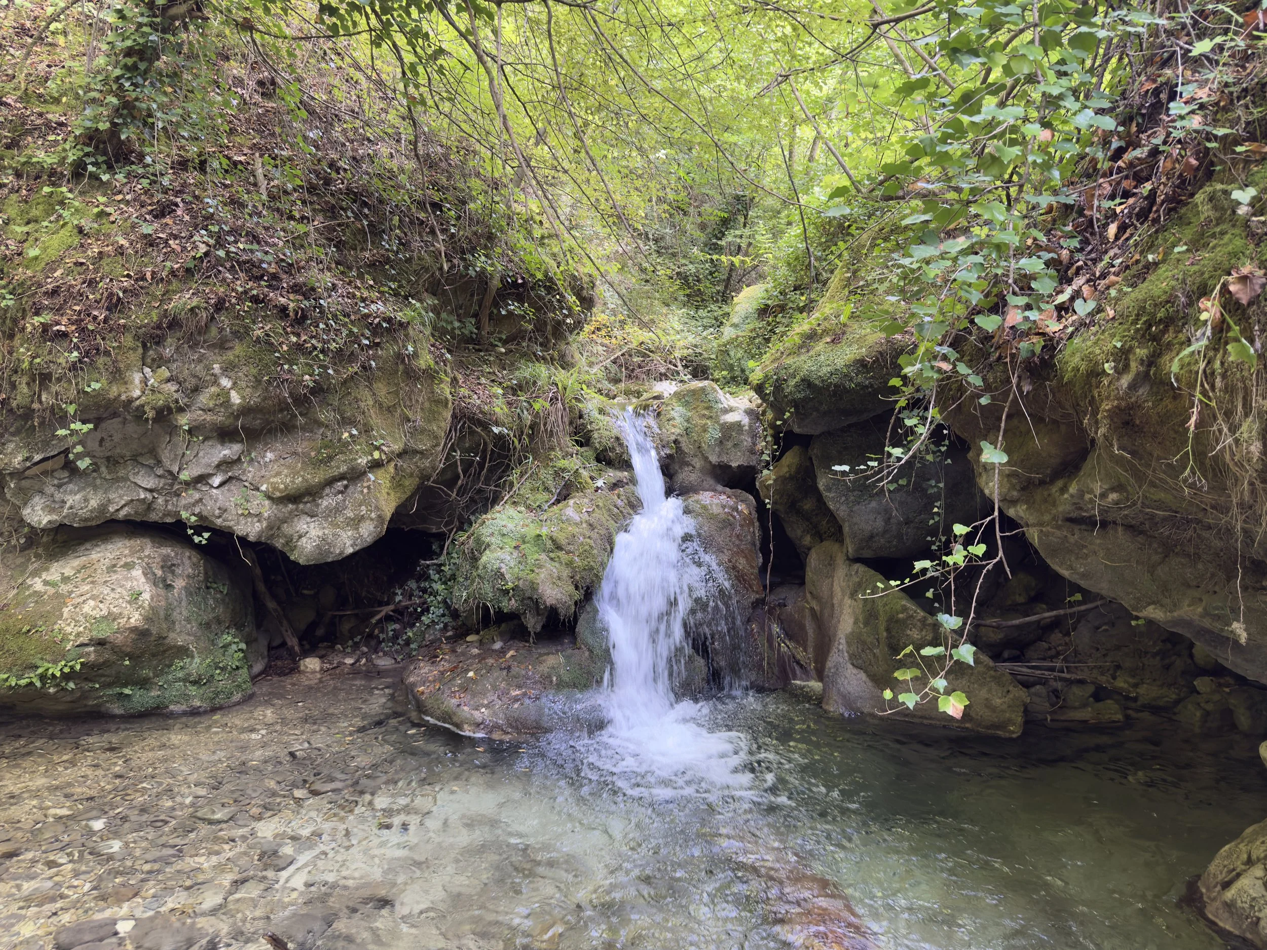 A small waterfall cascading into a clear stream surrounded by moss-covered rocks and green vegetation in a lush forest.