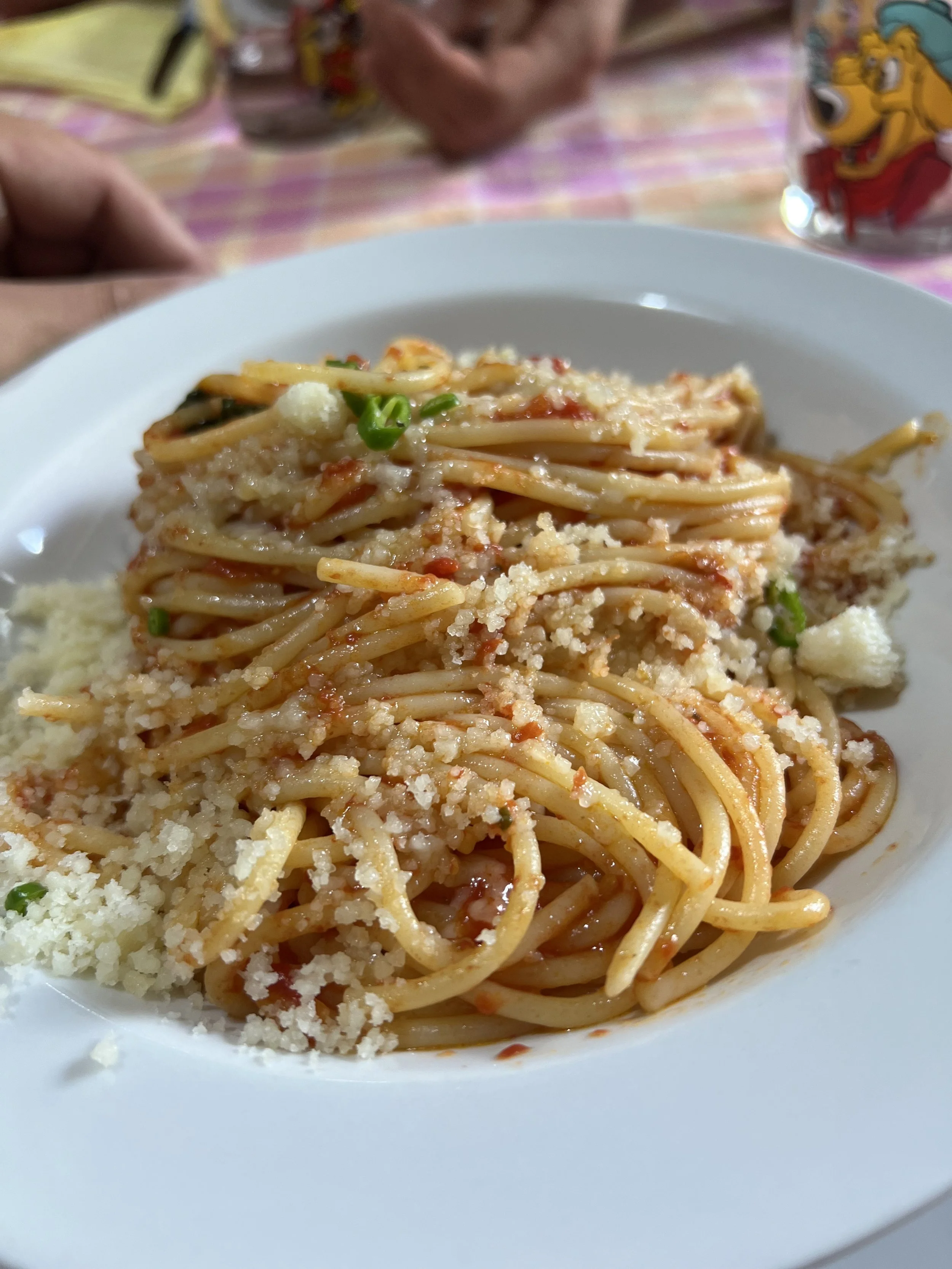 Plate of spaghetti with tomato sauce, grated cheese, and green onion garnish on a white dish.