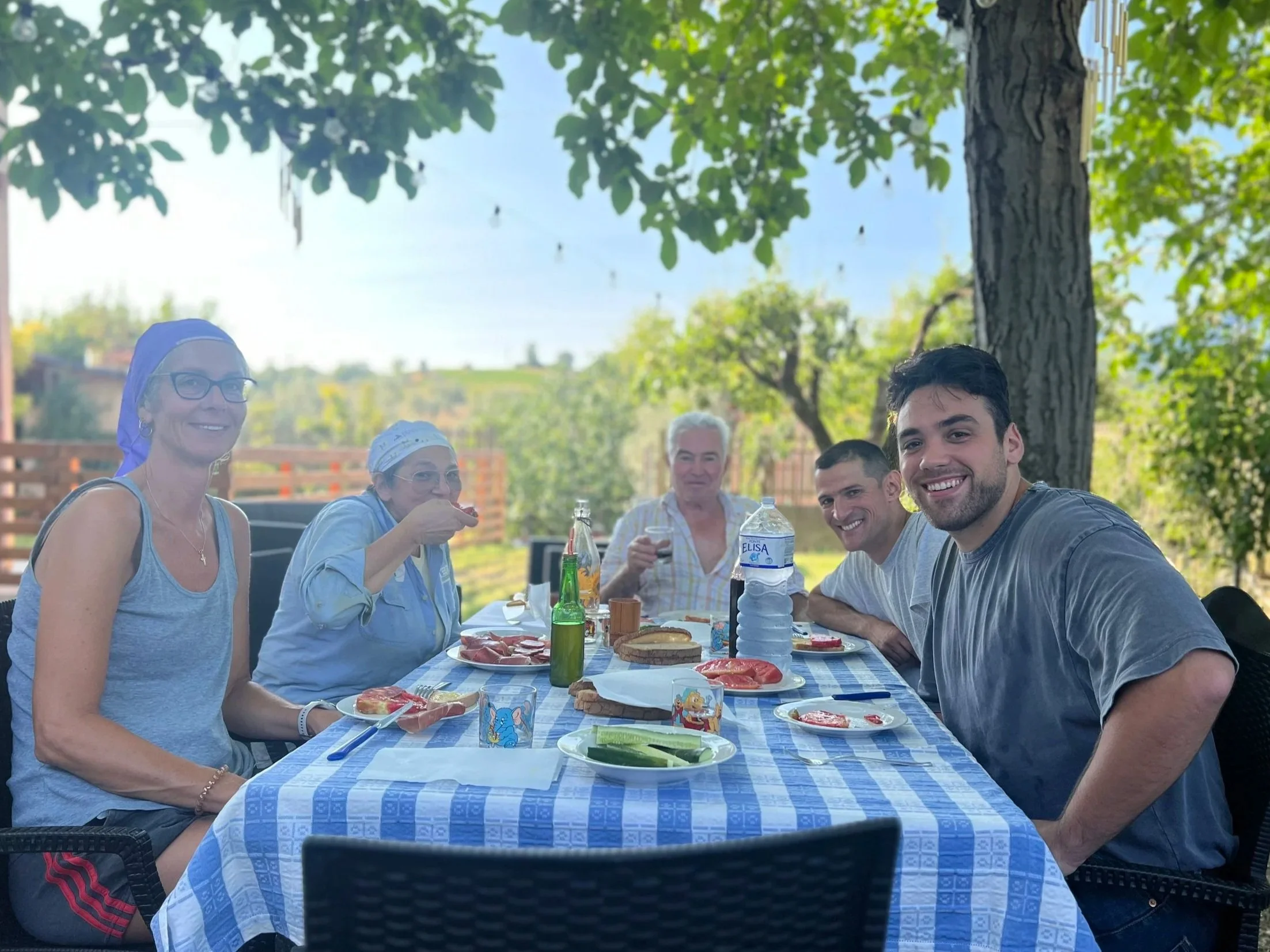 Group of five people having a meal outdoors at a table covered with a blue and white checkered tablecloth, under a tree on a sunny day.