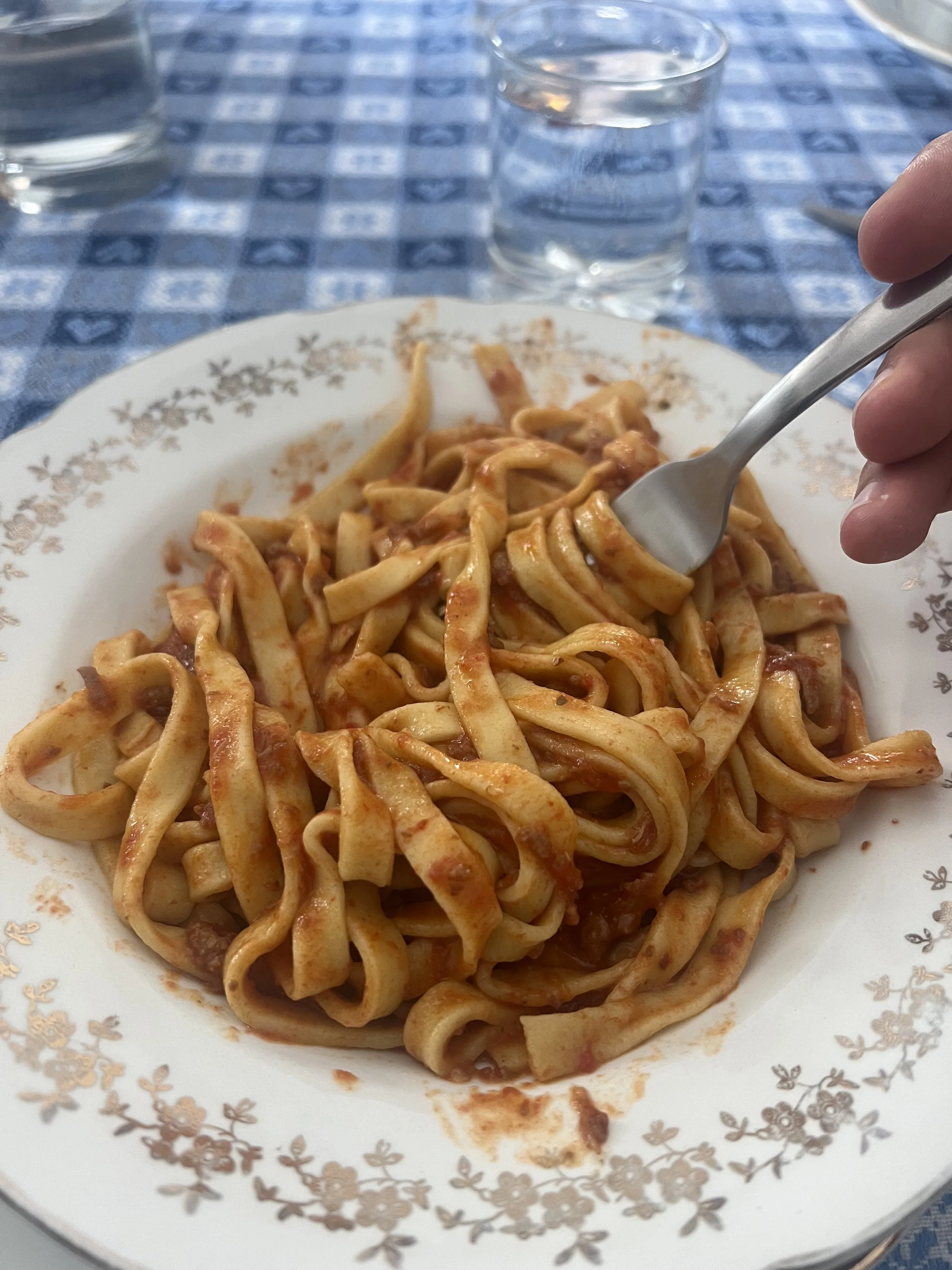 Plate of fettuccine pasta with tomato sauce on a blue checkered tablecloth, with a glass of water in the background.