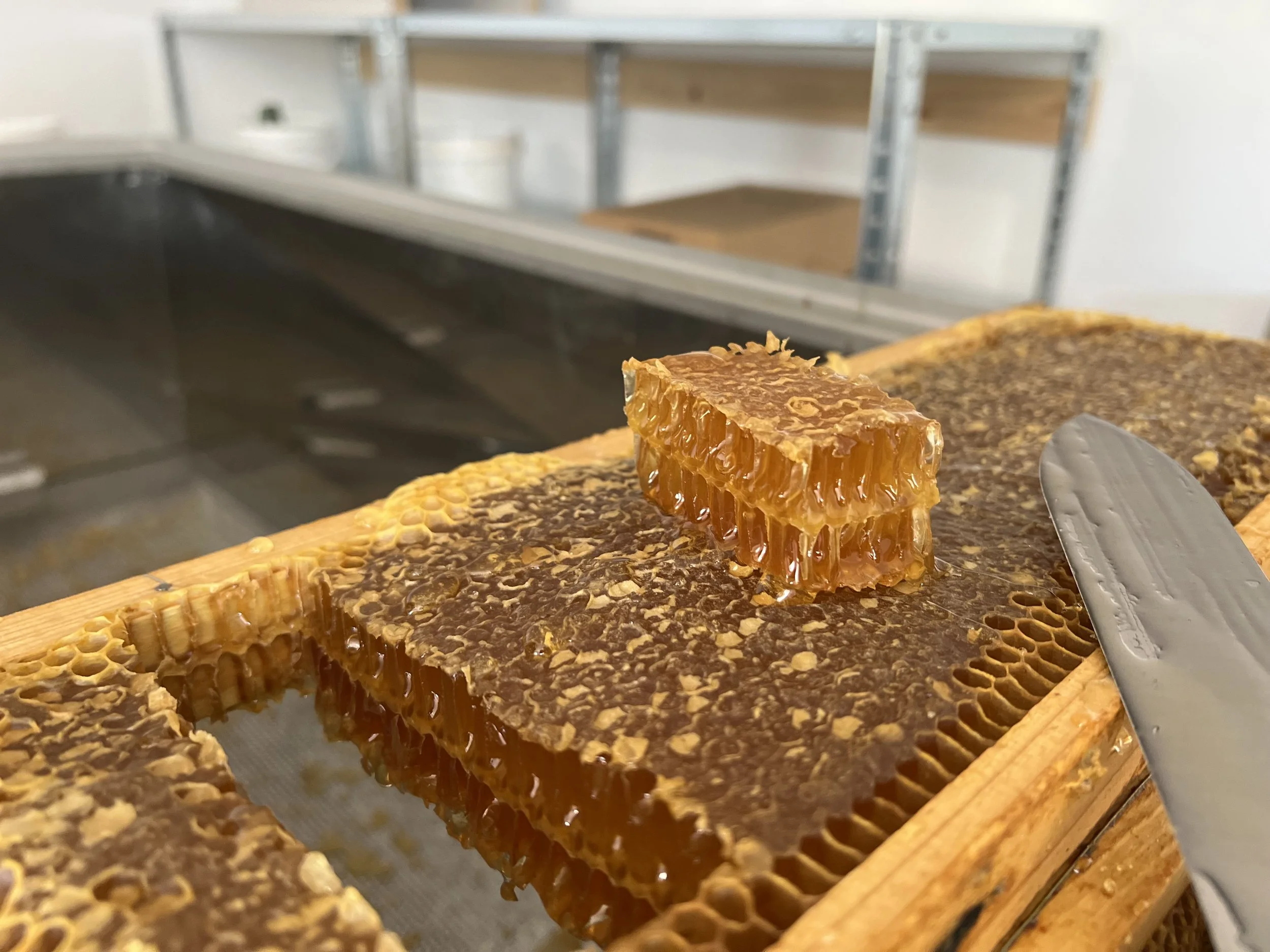 Honeycomb with two pieces cut and a knife on a wooden frame in a honey extraction room.