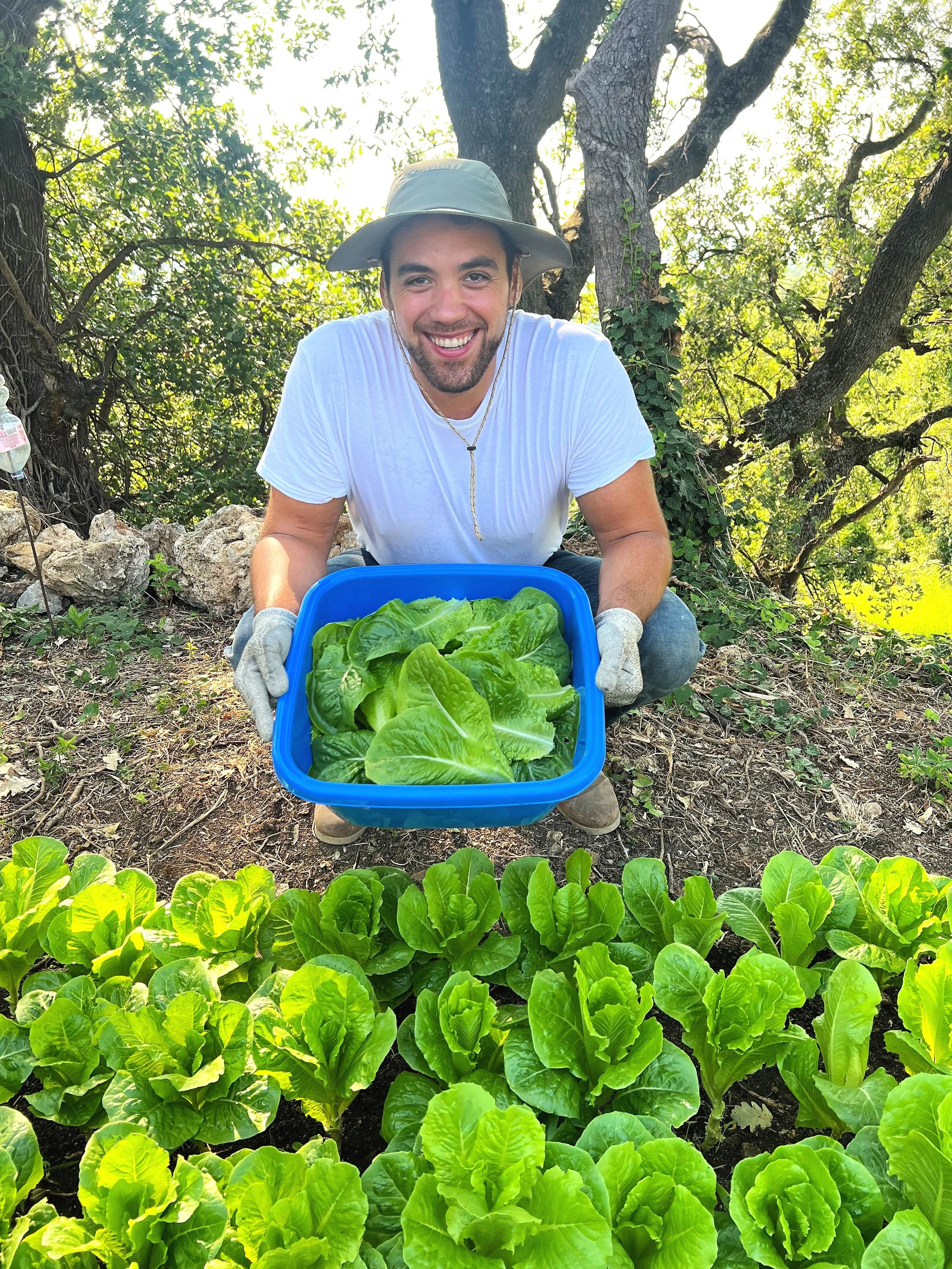 A smiling man with a hat and gloves holding a blue container filled with freshly harvested lettuce, kneeling in a garden with rows of lettuce plants and trees in the background.