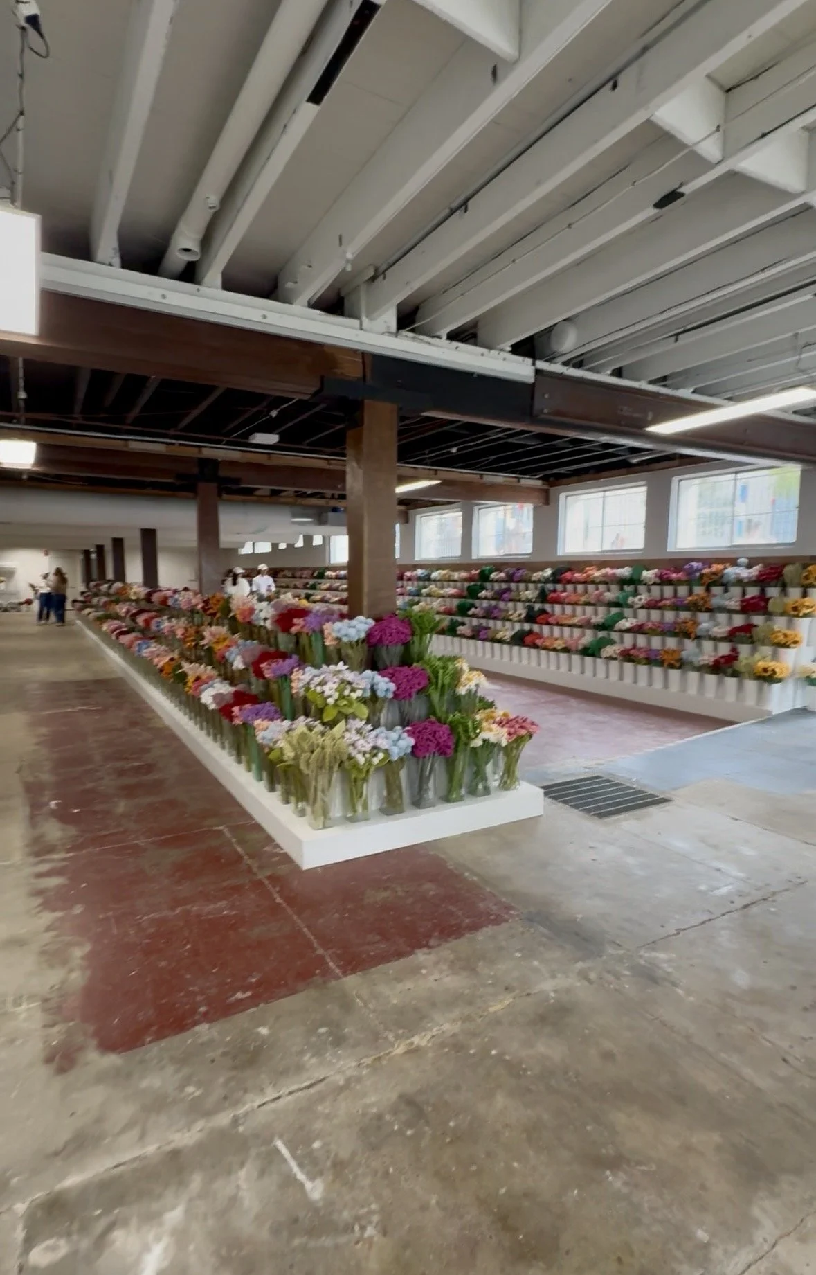 IMG_9755.jpg