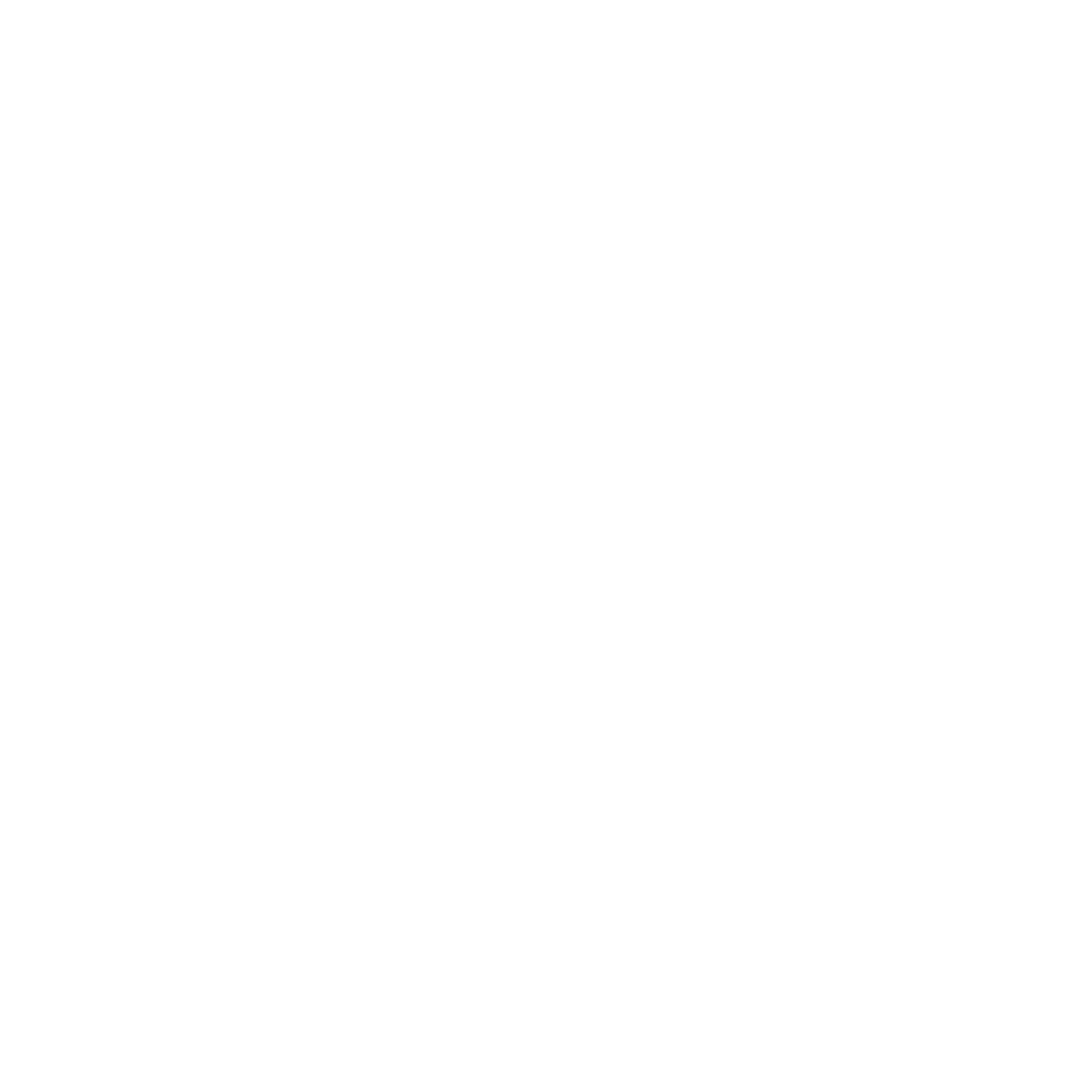 NETA Logo