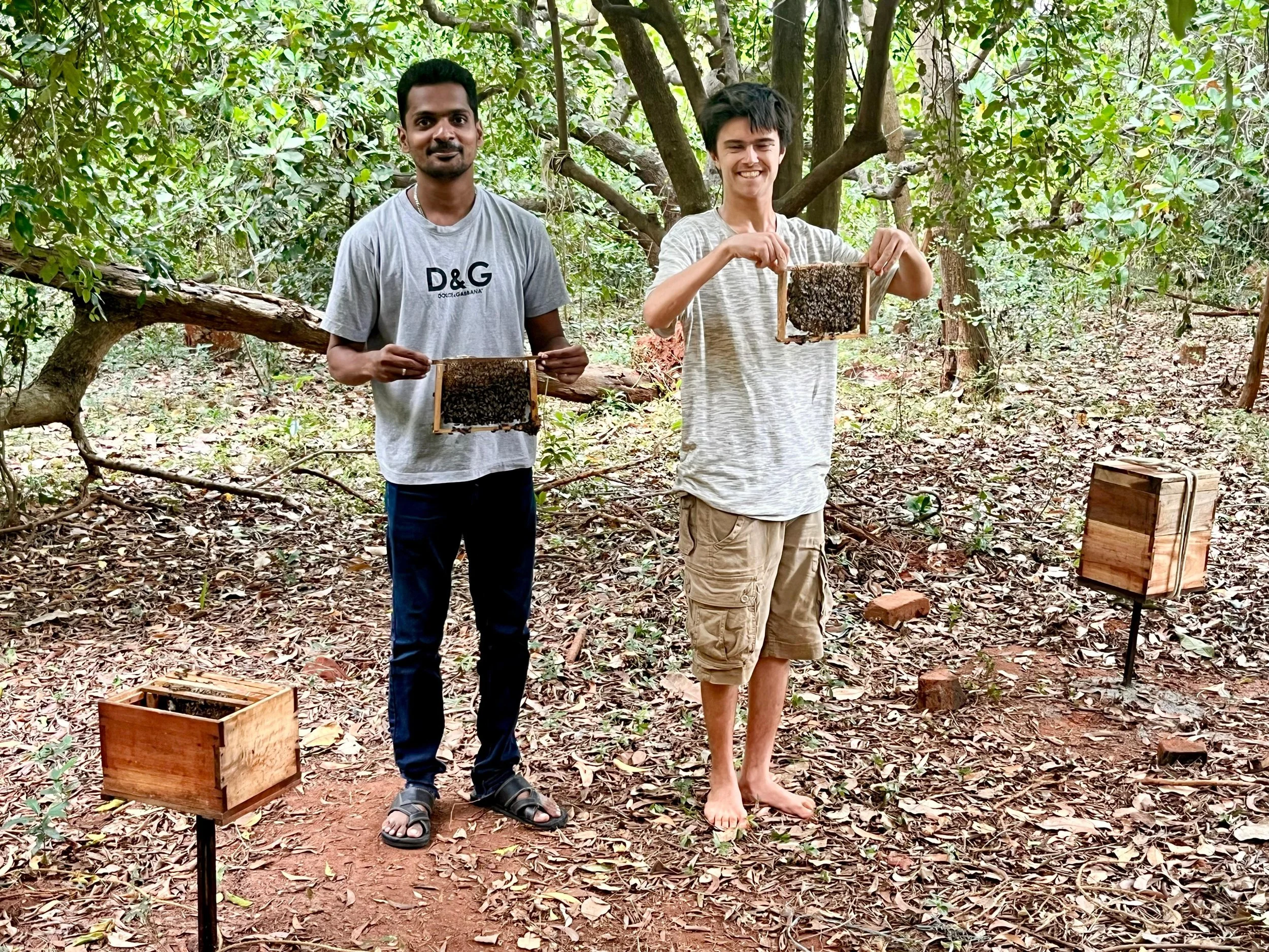 Why Saving Bees Is the Key to Saving Humanity – Join the Movement in Pondicherry