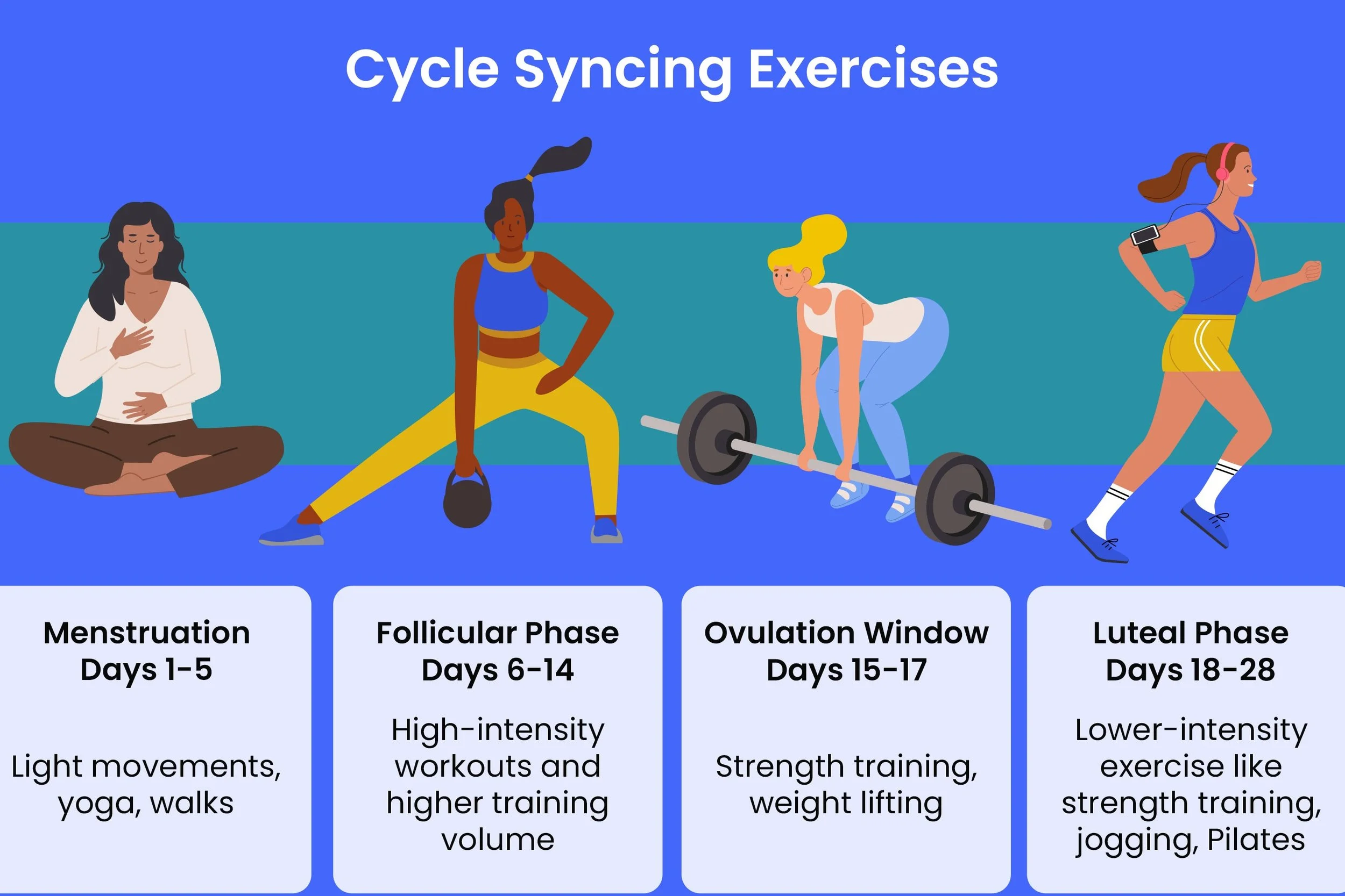 cycle-syncing-exercises.jpg