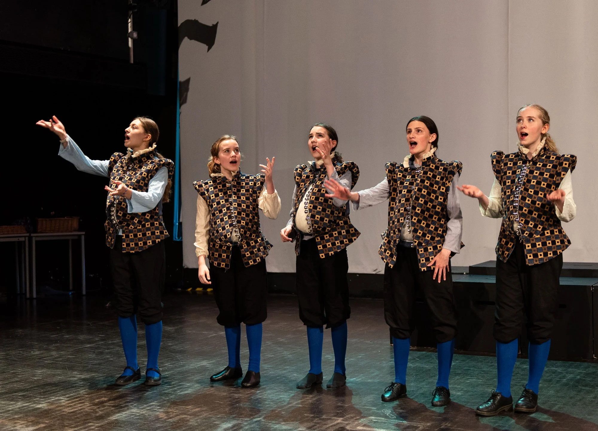 Much Ado About Shakespeare