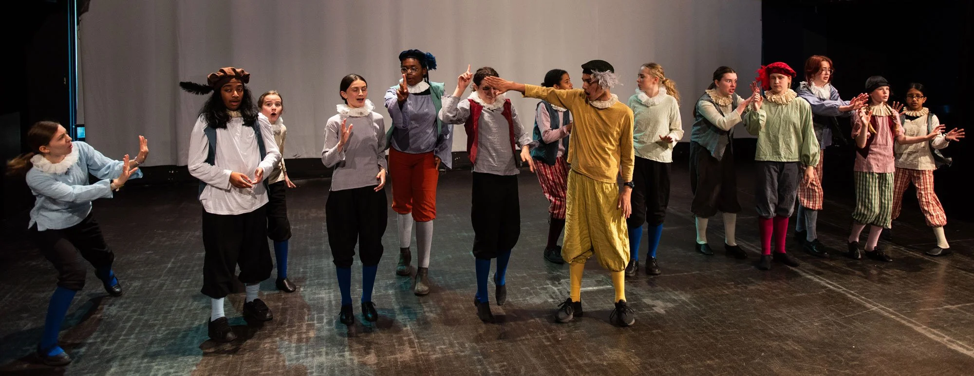 Much Ado About Shakespeare