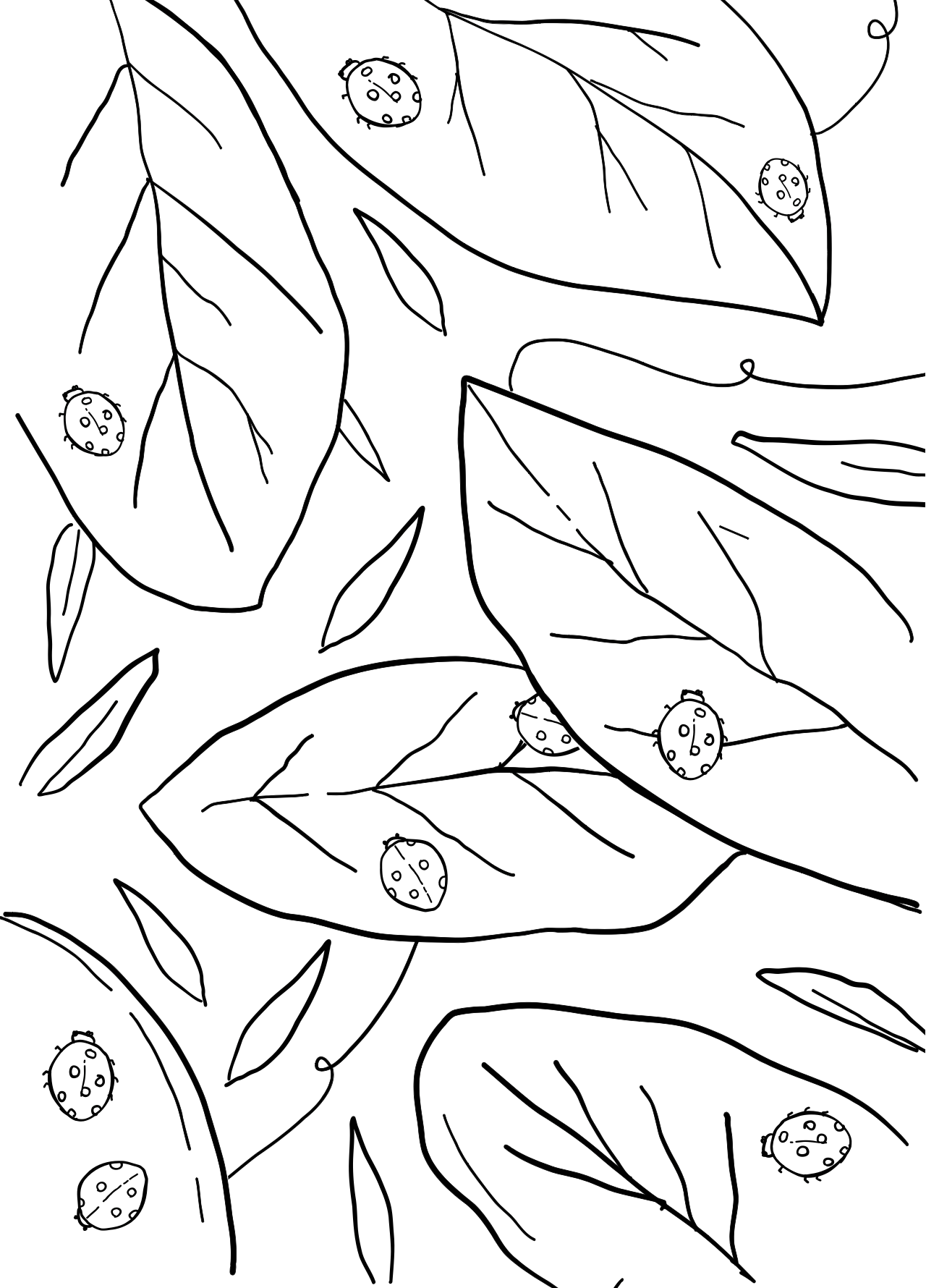 Screen Shot 2026-06-08 at 12.17.04 PM.png