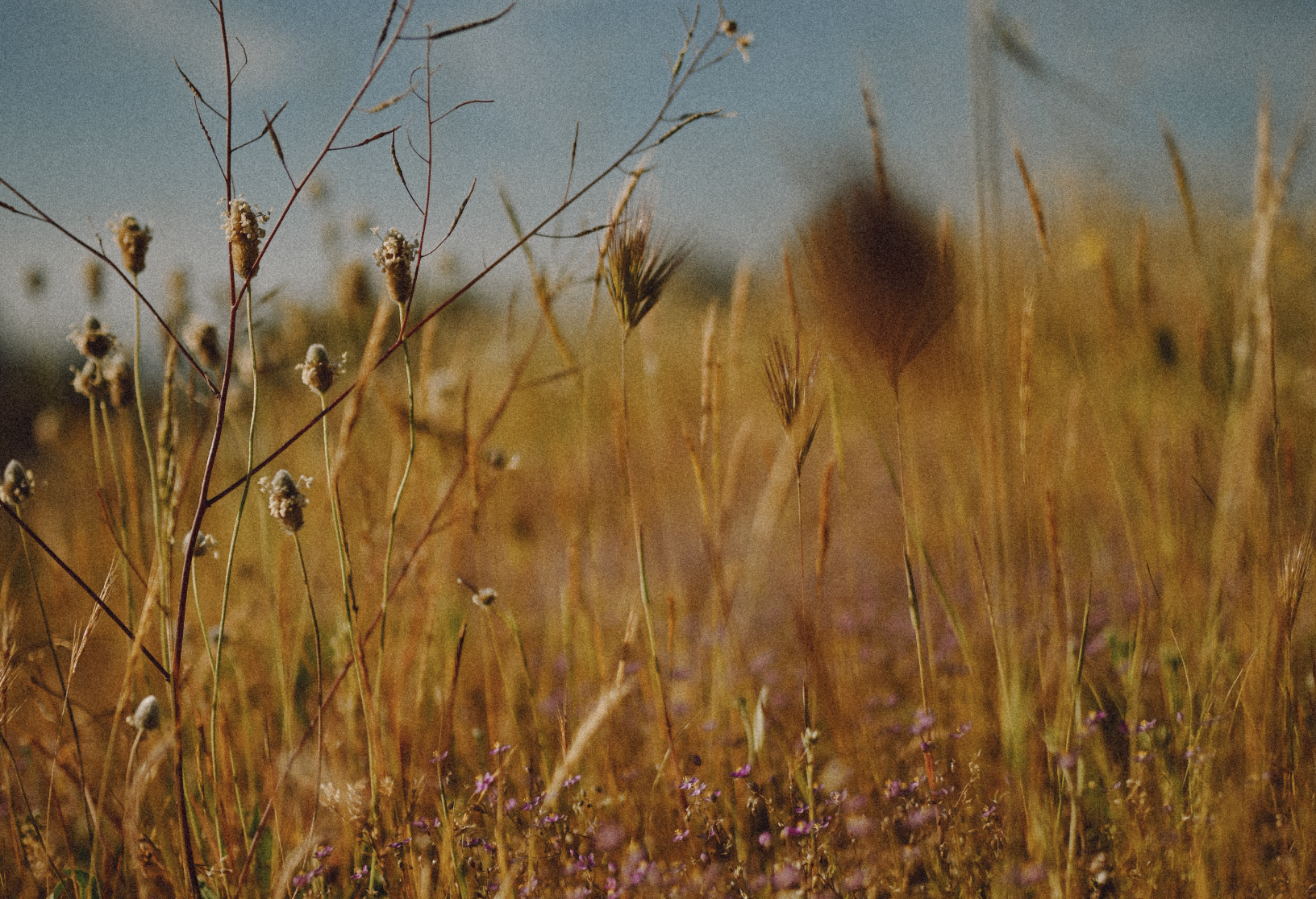 Captura de pantalla 2024-09-11 a las 5.40.11.png