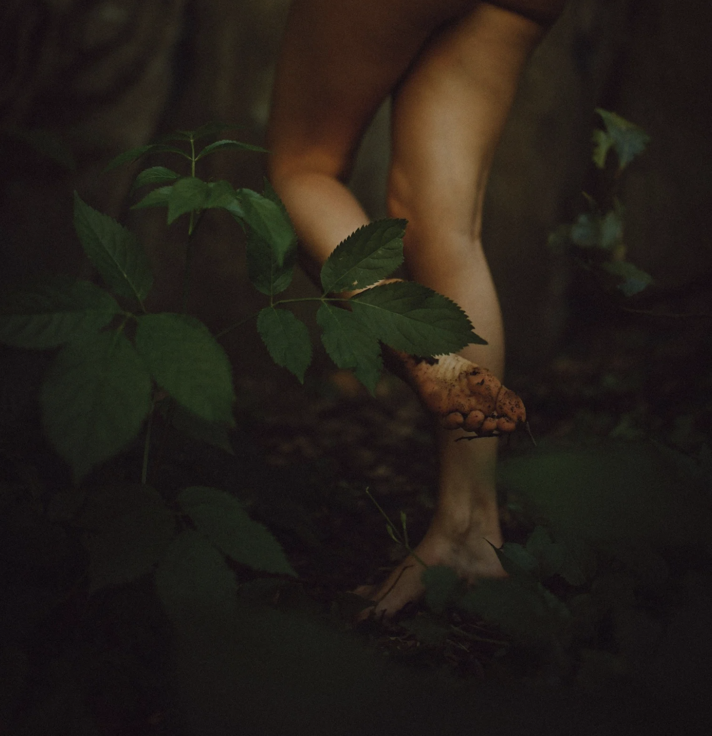 Captura de pantalla 2025-04-17 a las 13.46.25.png