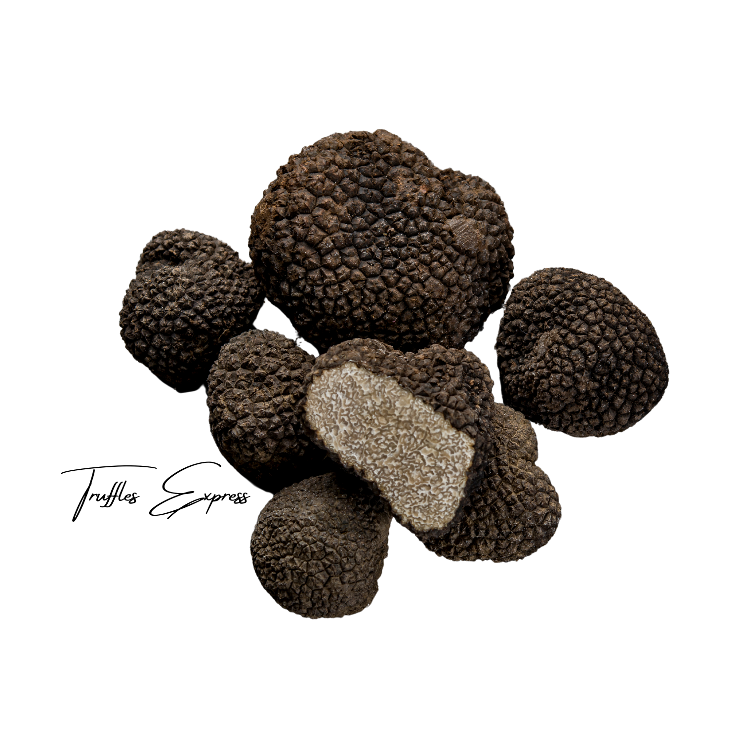 Black Autumn Truffles (Tuber Uncinatum)