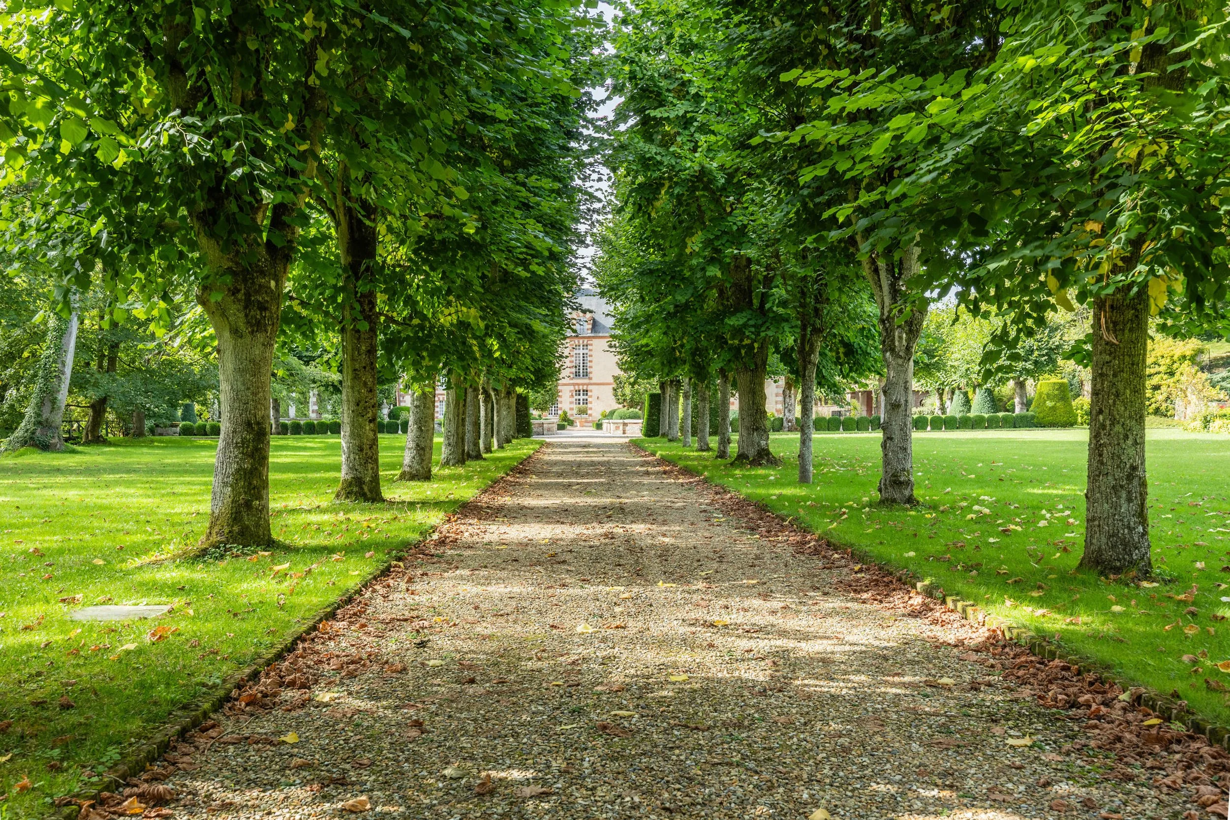 Homanie-Lyons-La-Foret-Chateau (10).jpg