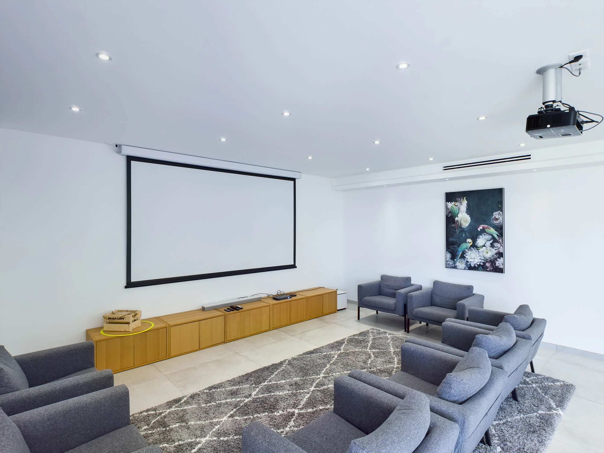 Mediterranean corporate retreat home cinema