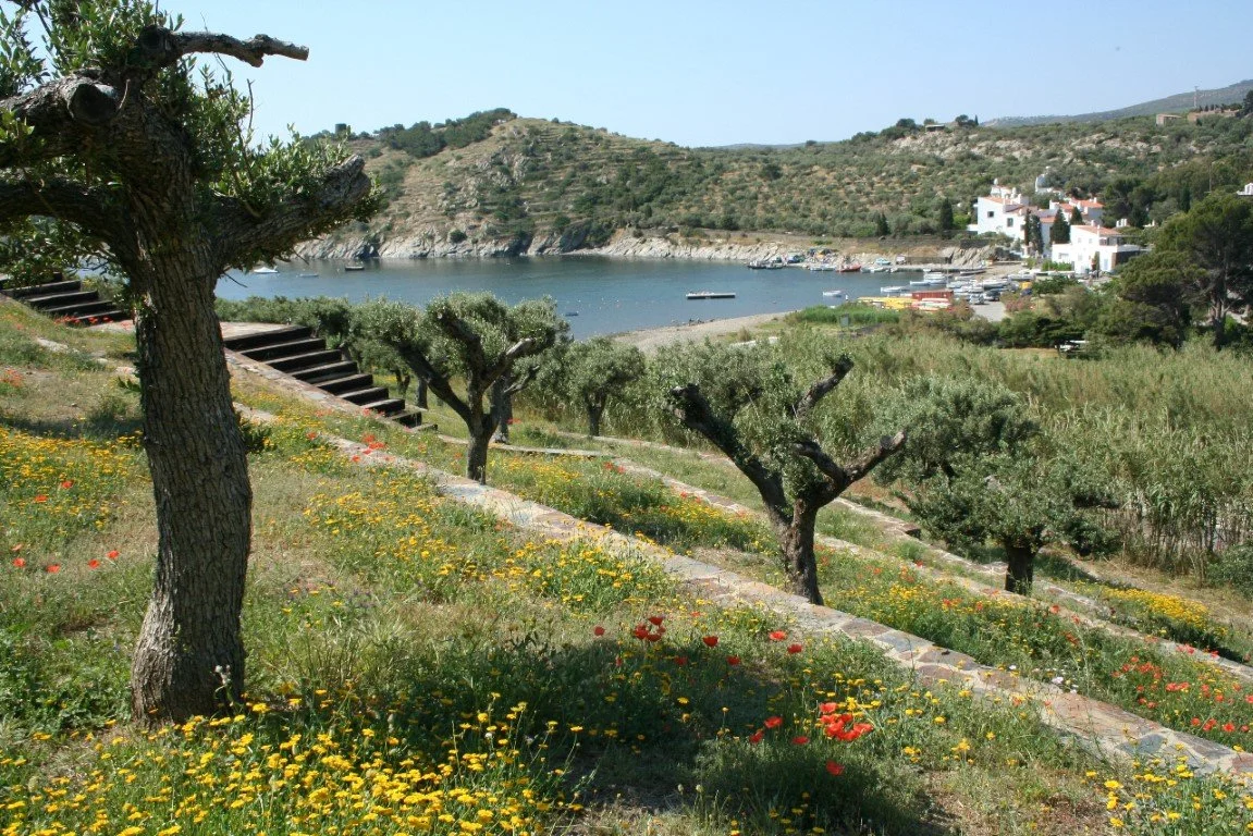 Mediterranean corporate retreat garden