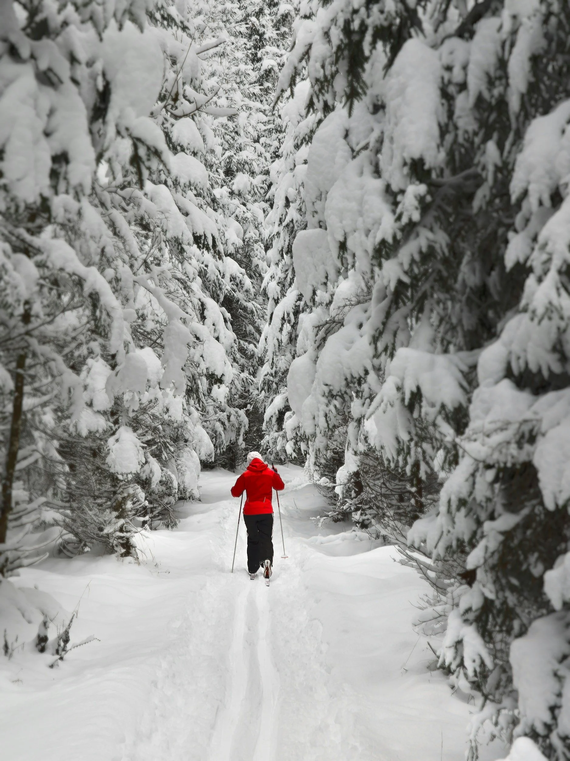 val d'isere guide ski touring