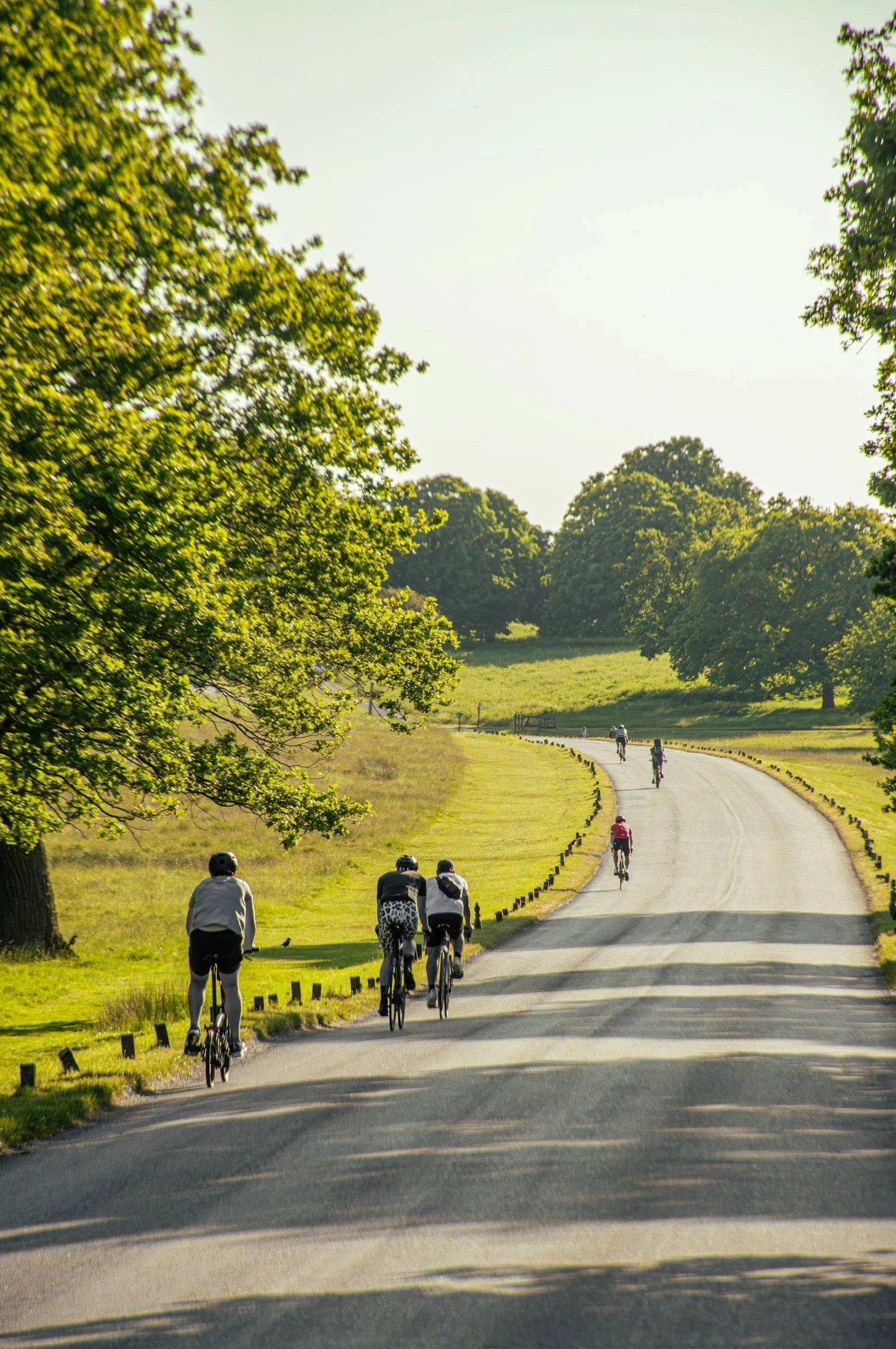 mas rentals in provence cycling
