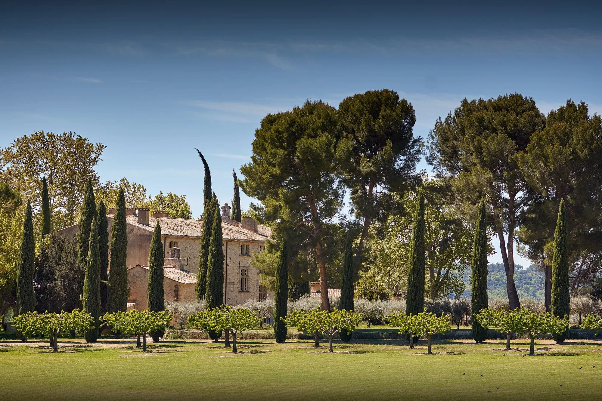 Lubéron Luxury rental garden outside view