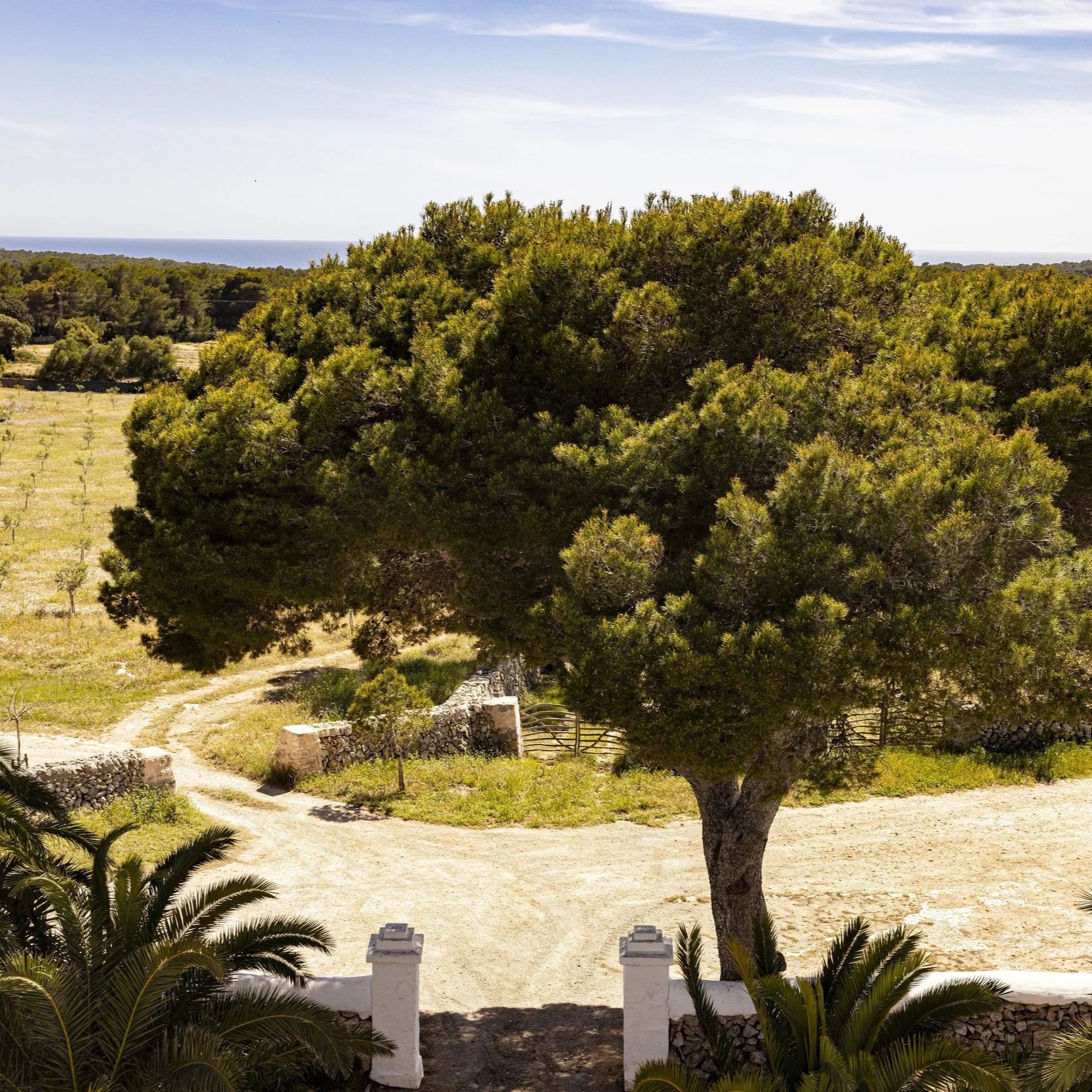menorca hacienda wedding