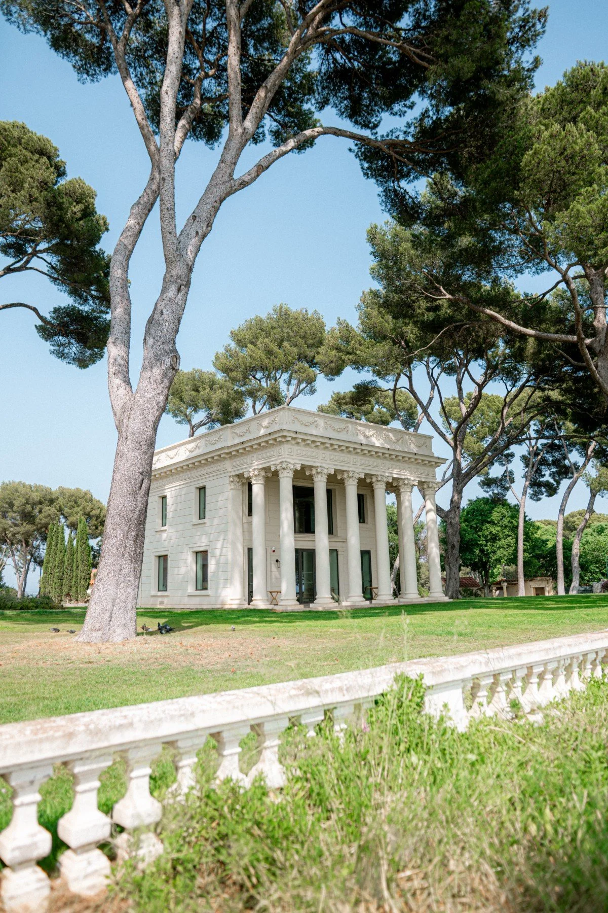 Luxury Domain South of France