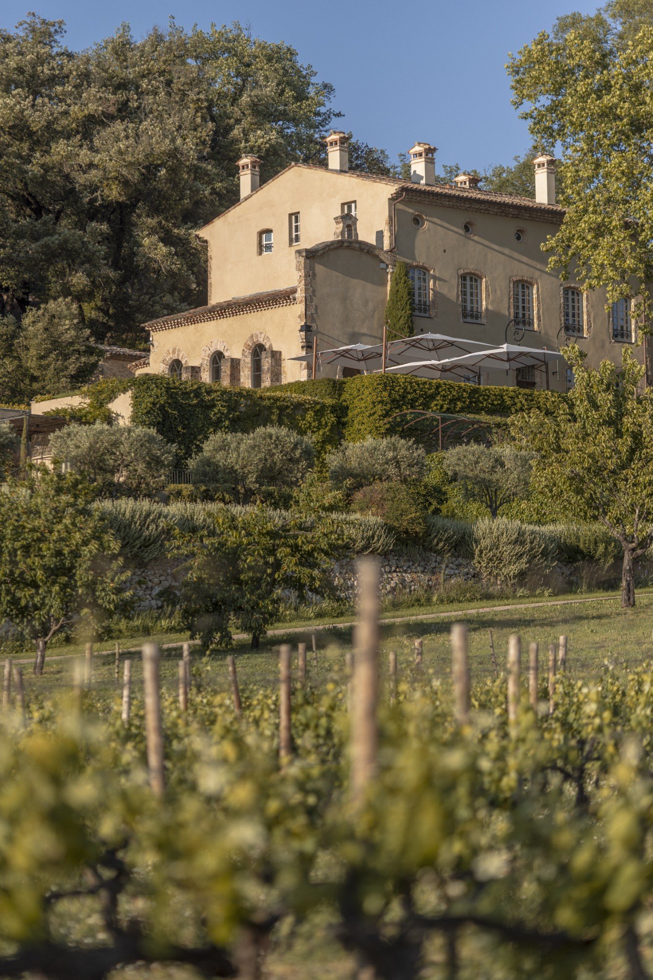 vineyard vacation rentals in France