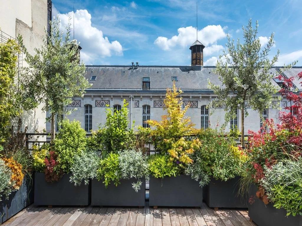 Paris Mandel - Luxury home rooftop