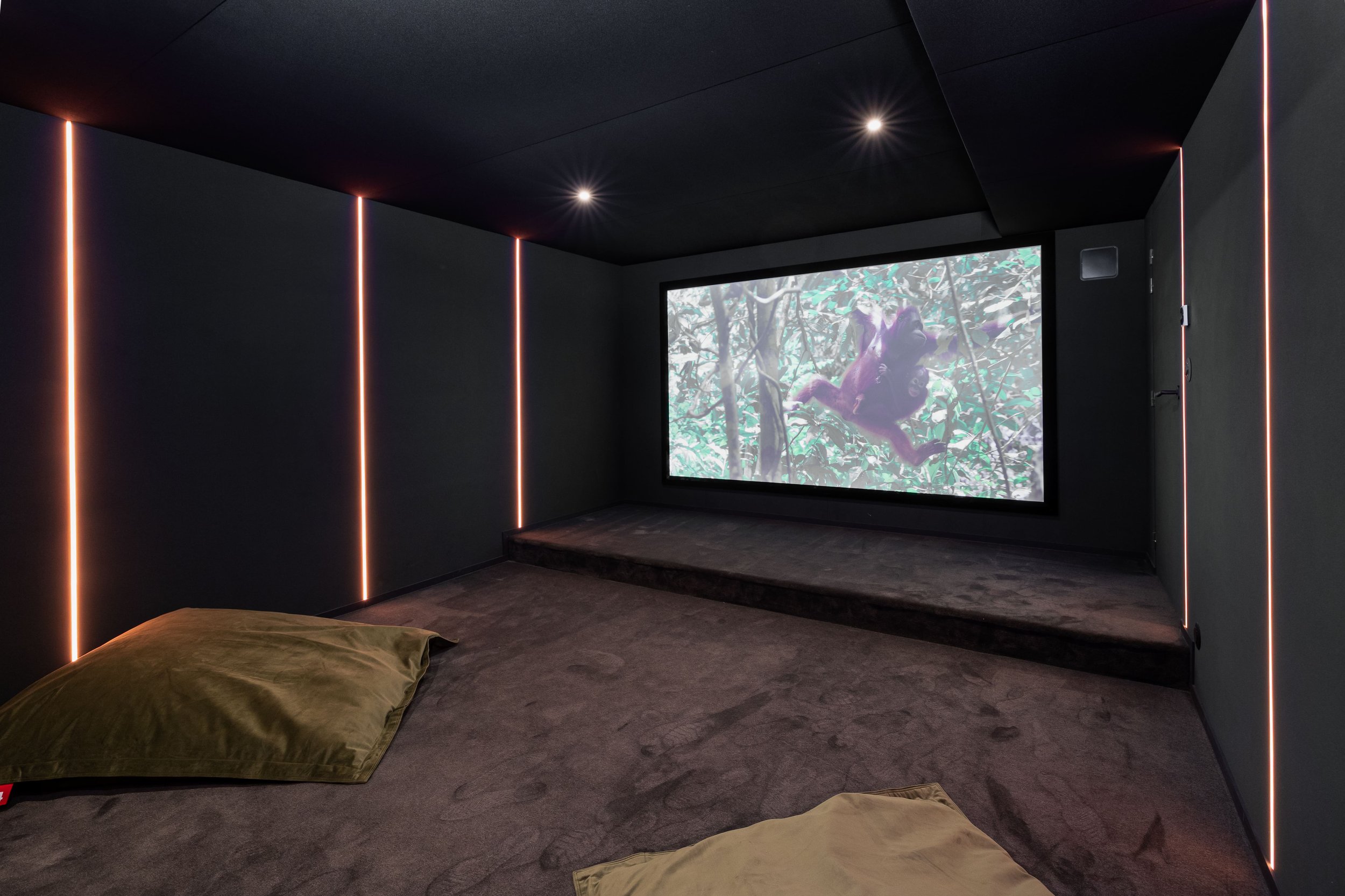 luxury villa Théoule-sur-Mer home cinema