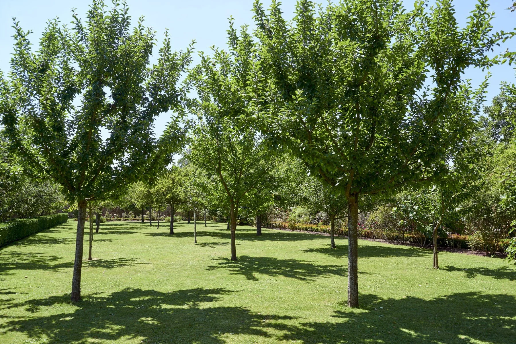 Wedding in Thoiry garden