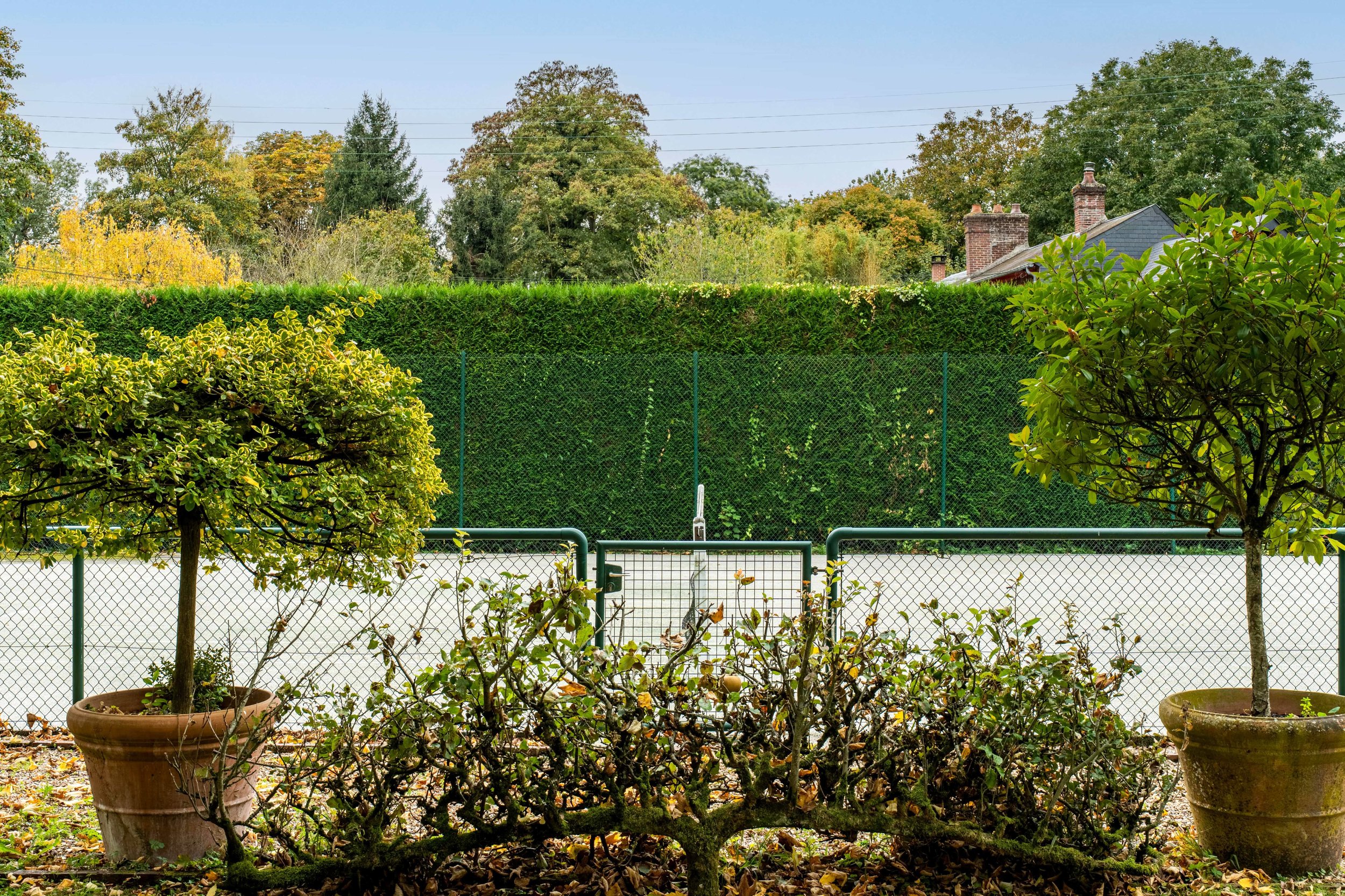tennis court séminaire lyons la forêt