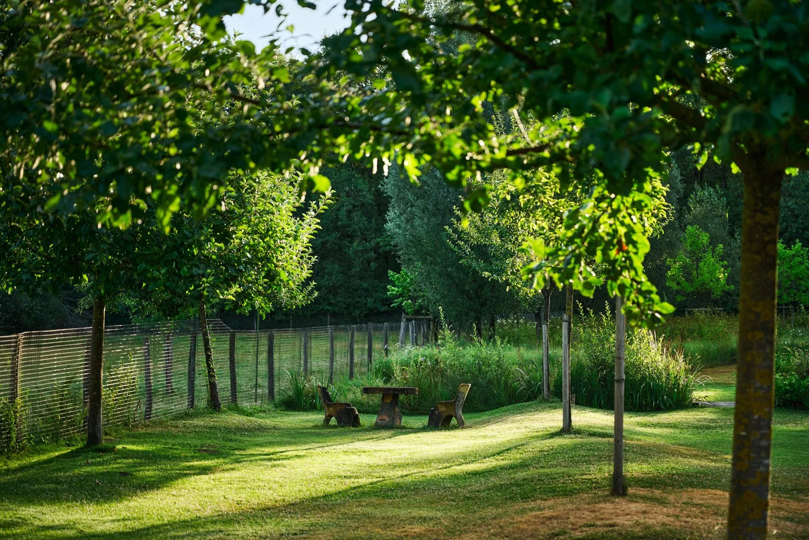 Luxury villa in Loire near Paris