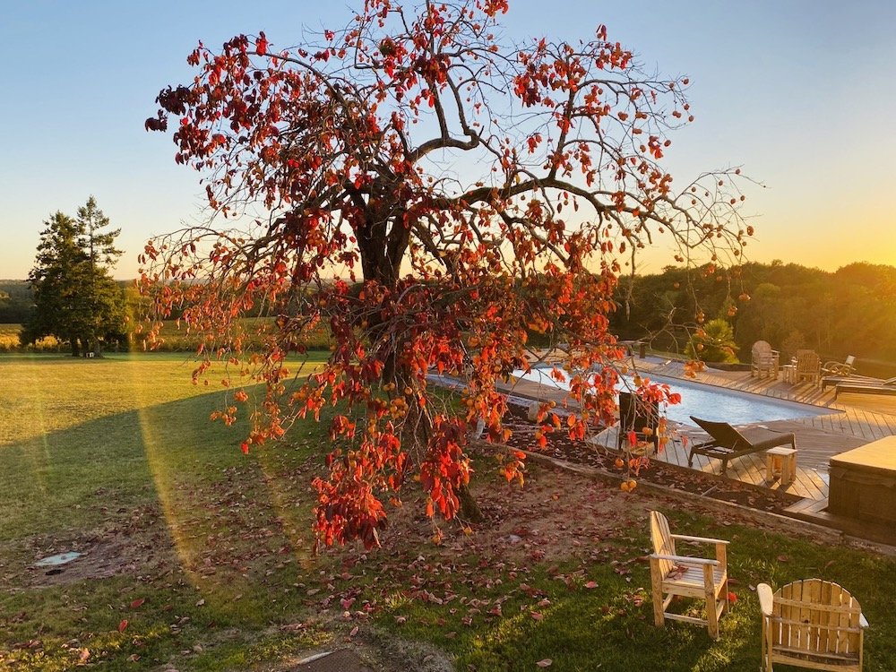 luxury villa Gironde garden