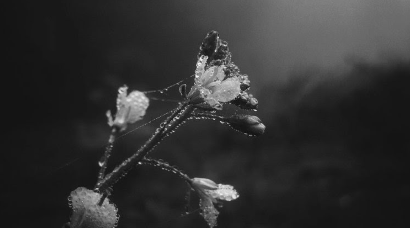 Newsletter #8: December 2025