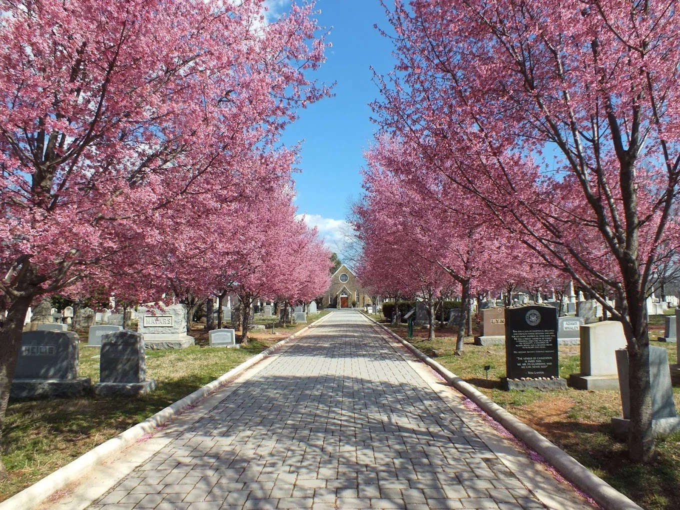 ✨ Death Cafe at Congressional Cemetery