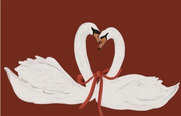 Newsletter #10 February 2026