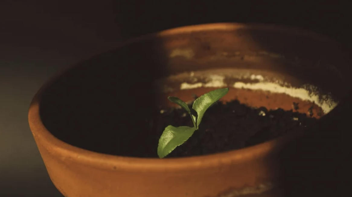 Newsletter #12: April 2026 