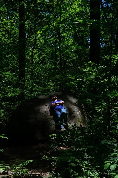 💡Forest Bathing for Caregivers