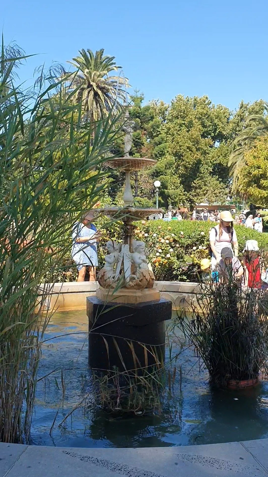 β²οΈβ¨ I'm still reeeeeling from this swim in the Canterbury Park fountain! β²οΈβ¨
I even created another instagram page to share my love of water fountains. Go follow me there! @thefountainmermaid
Video by @janelleboyd.8
#mermaidsofearth #eaglehawkfe