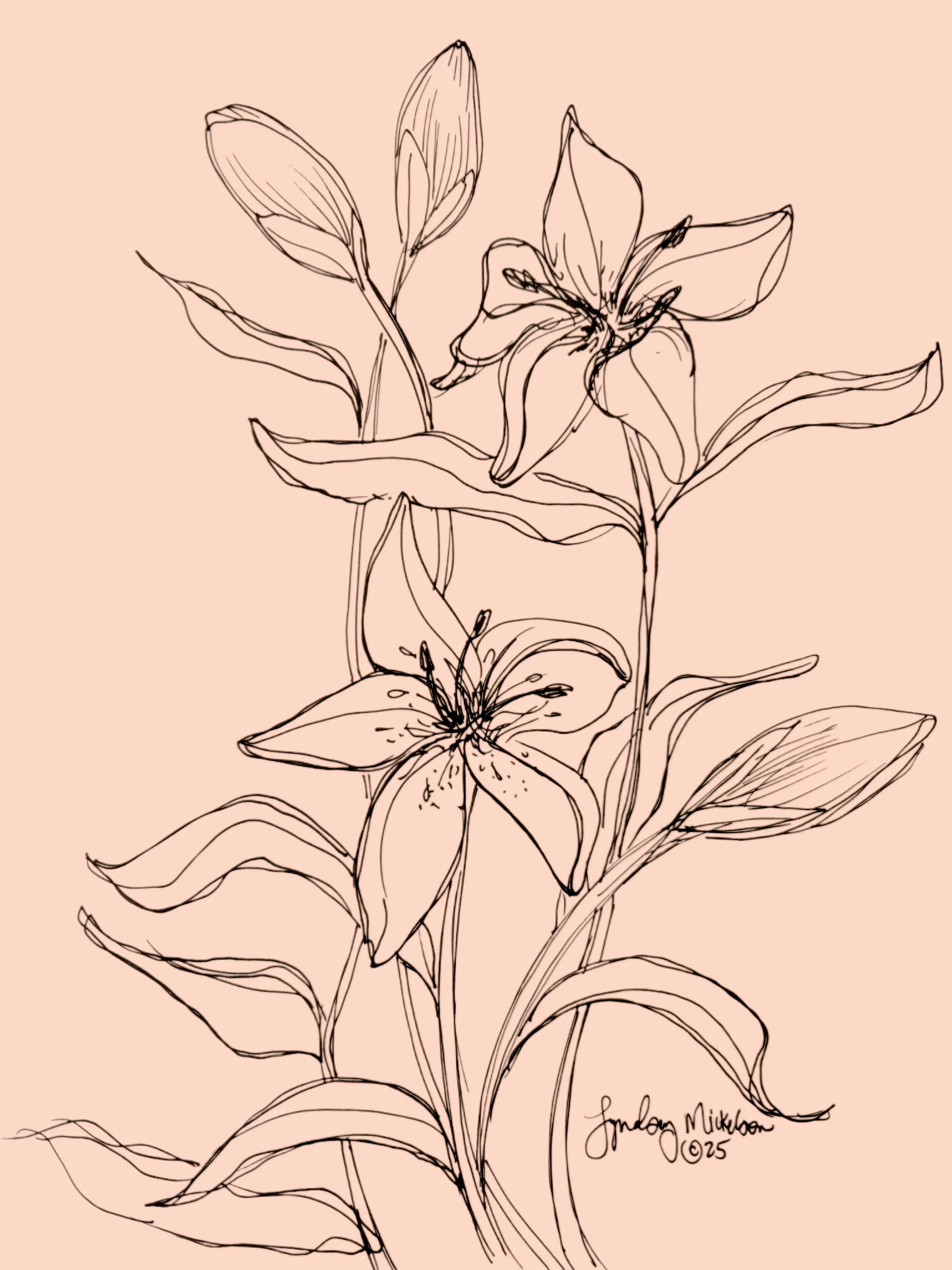 For Lily