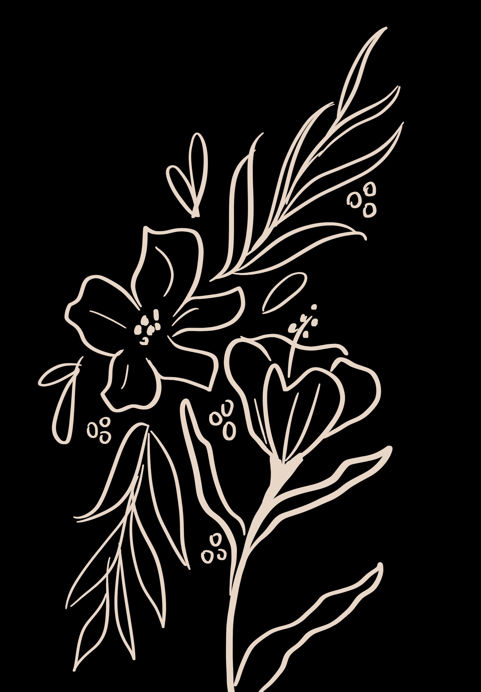 Outline drawing of a floral design with flowers, leaves, and small berries on a black background.