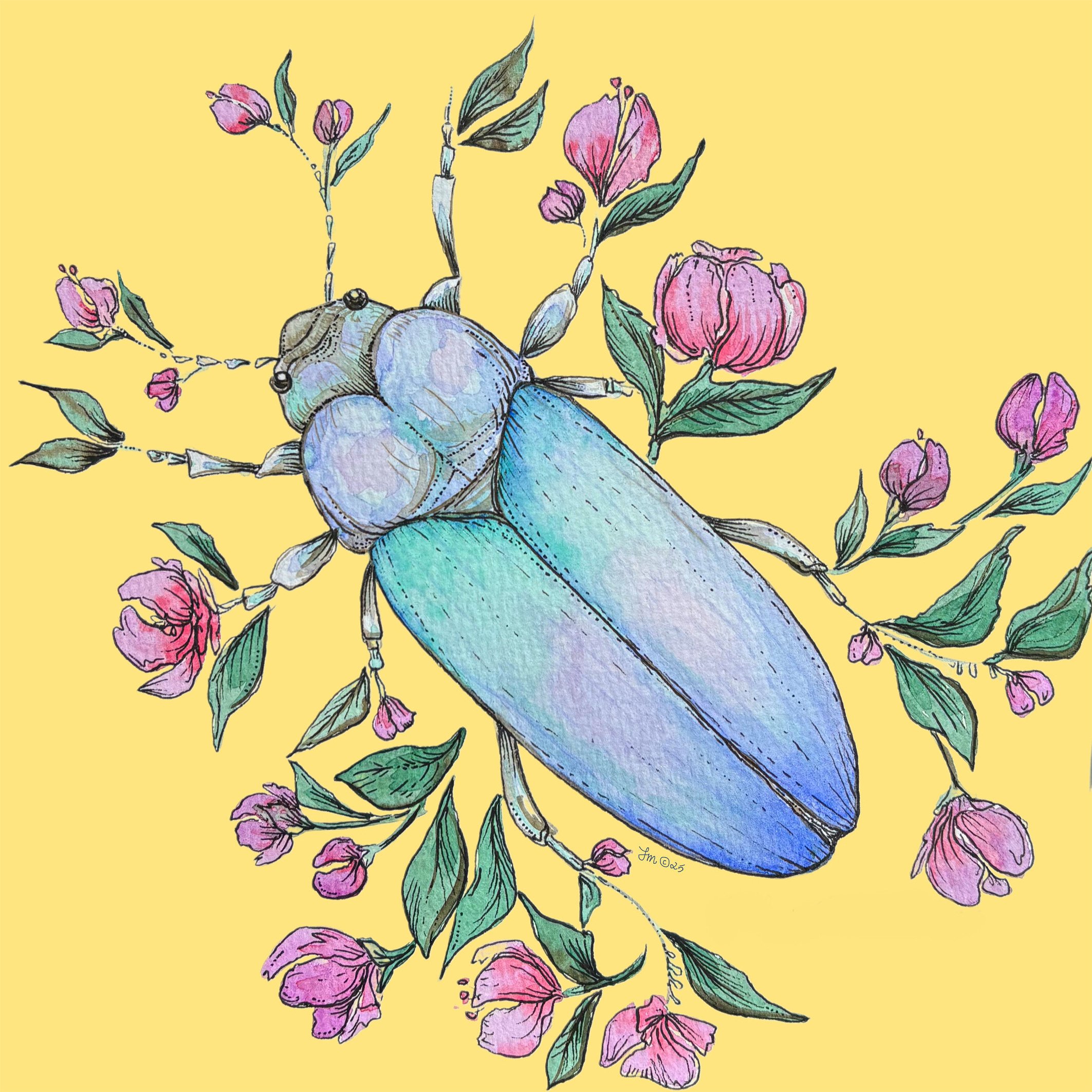 Beetle Babe