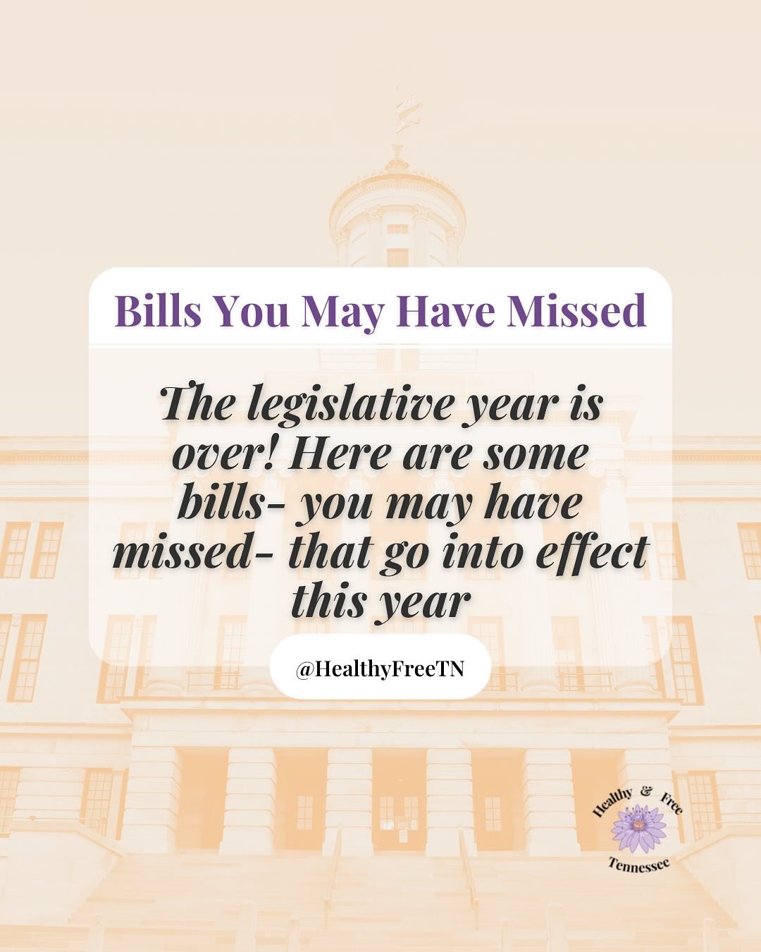 📄So the legislative year is over, but the legislature passed hundreds of bills. Here are some of the ones you may have missed that will go into effect this year. As always, check out the link in our bio to see our 2025 watchlist / legislative sessio