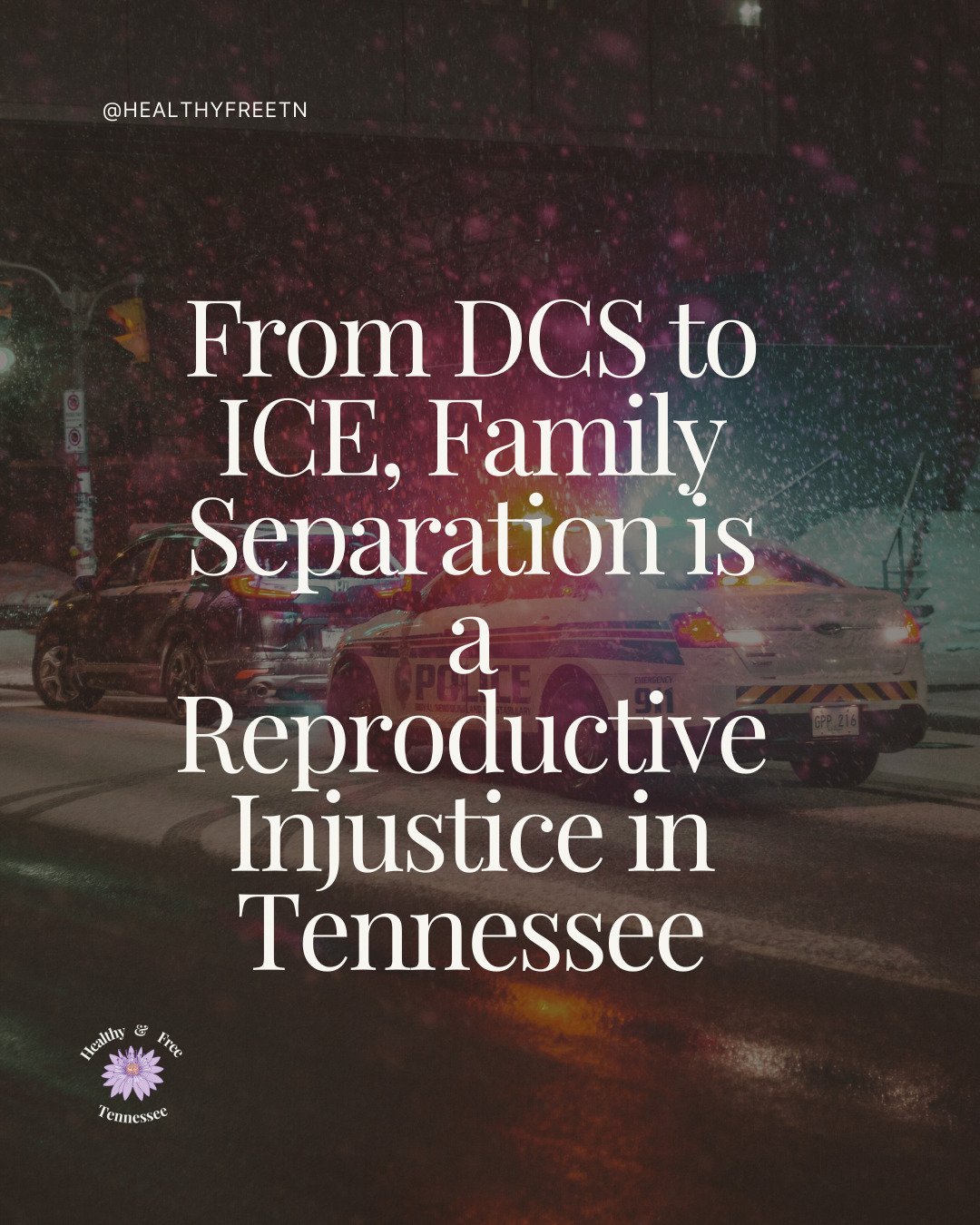 From DCS to ICE, Family Separation is a Reproductive Injustice in Tennessee. More about what's happening in Nashville, how parents and caregivers can prepare, and next steps. Image text in alt-text