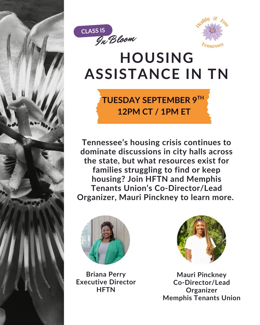 Want to learn more about the connection between reproductive justice and housing justice? What supports actually exist for folks struggling with housing in Tennessee? Join us in conversation with Mauri Pinckney, Co-Director and Lead Organizer with th