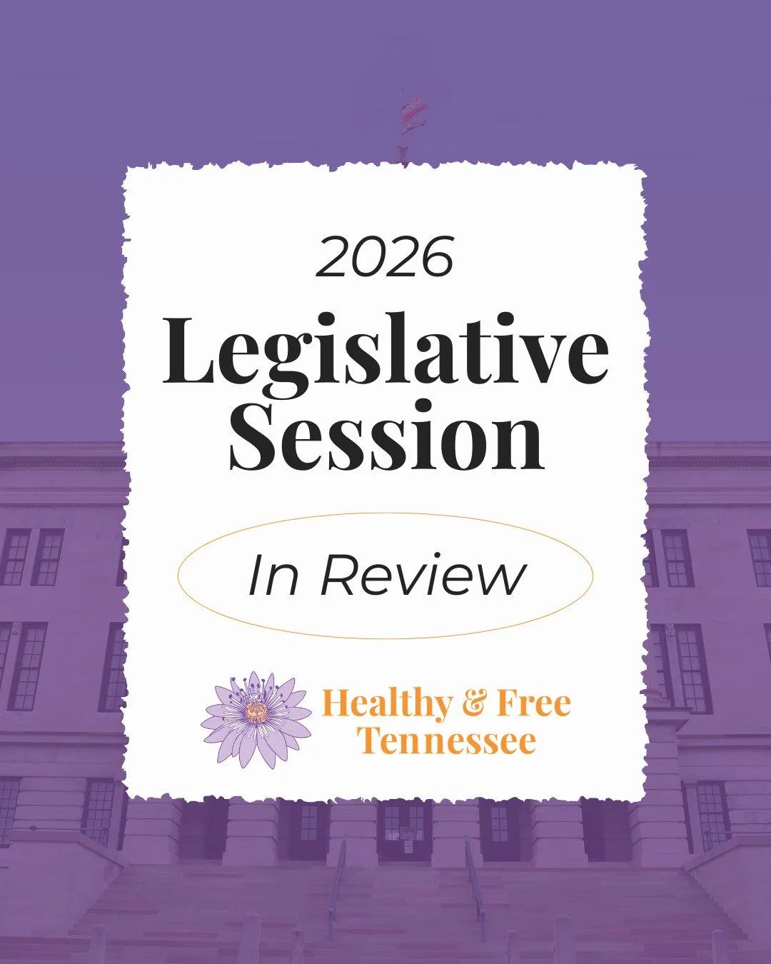 🏛 Tennessee's 114th General Assembly came to a close on Thursday, and we've got a lot of feelings: wins to celebrate, losses to grieve and strategize around, and a whole lot of energy to deepen and expand our repro justice movement building work. Sw